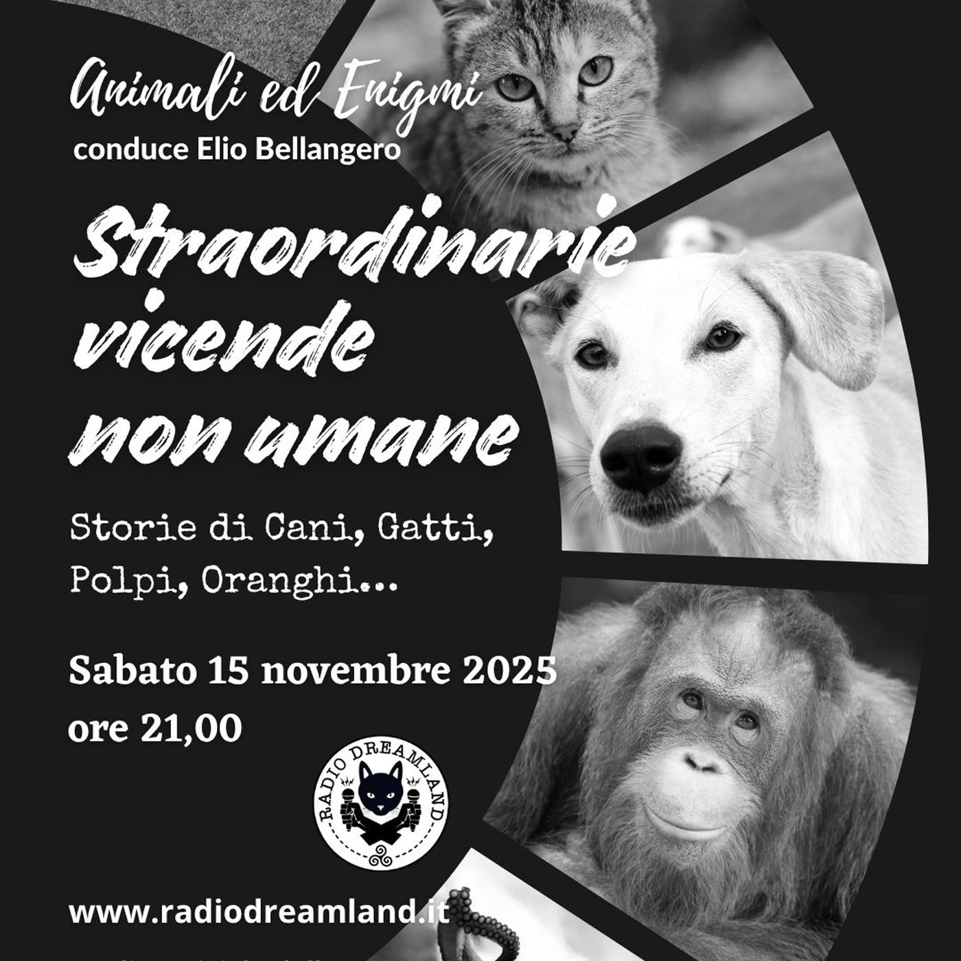 Straordinarie vicende non umane episode artwork