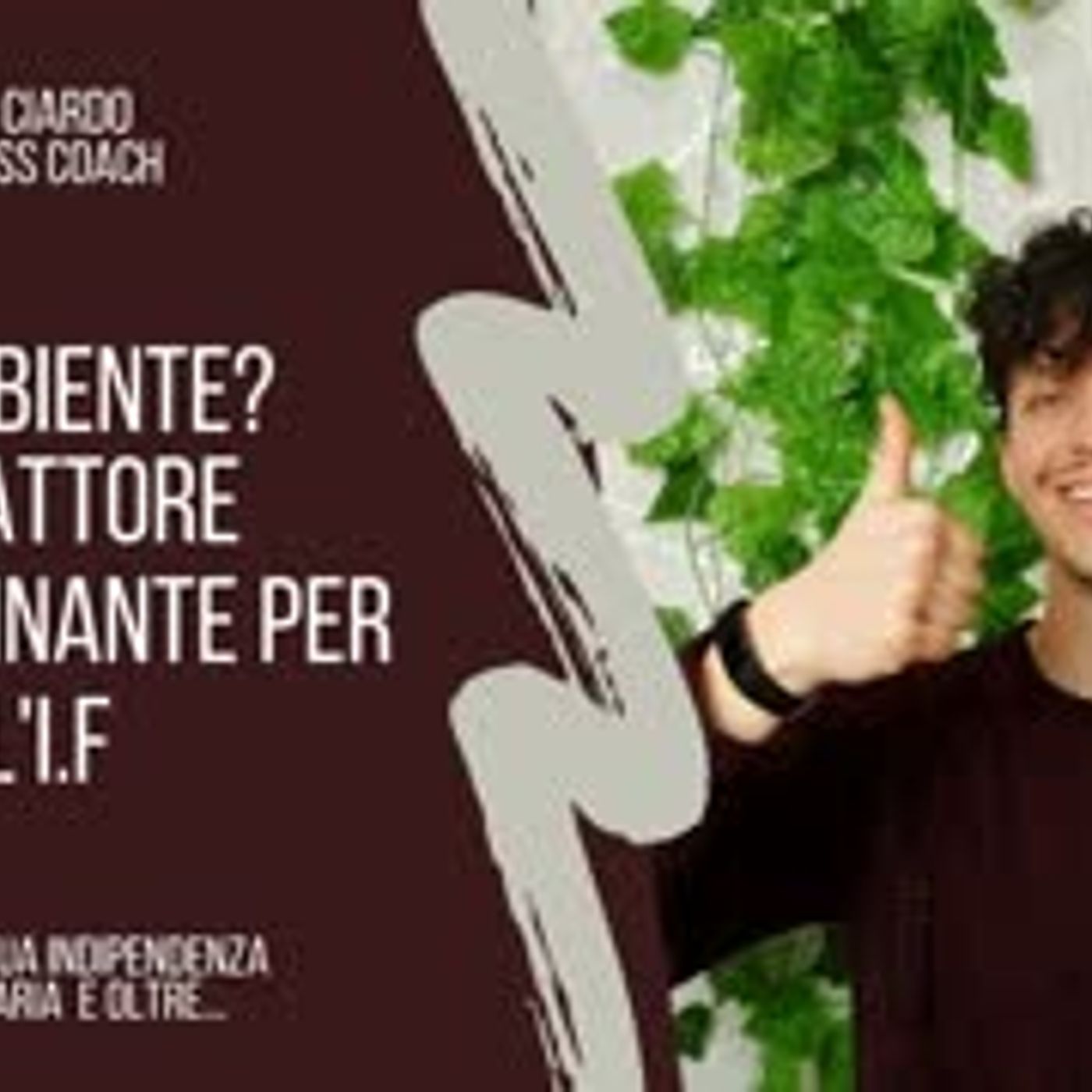 Mindset Vincente