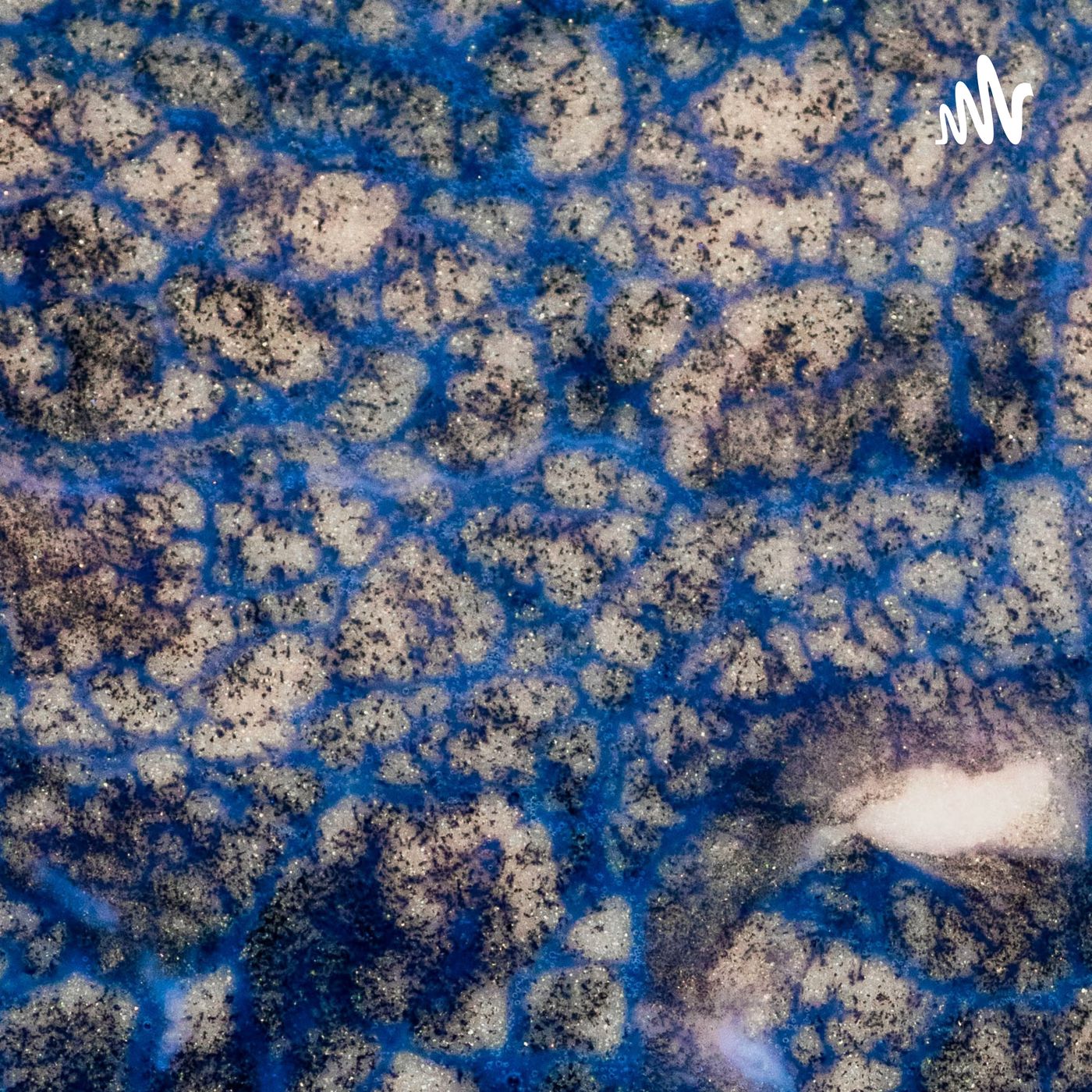 时光一逝永不回，往事只能回味