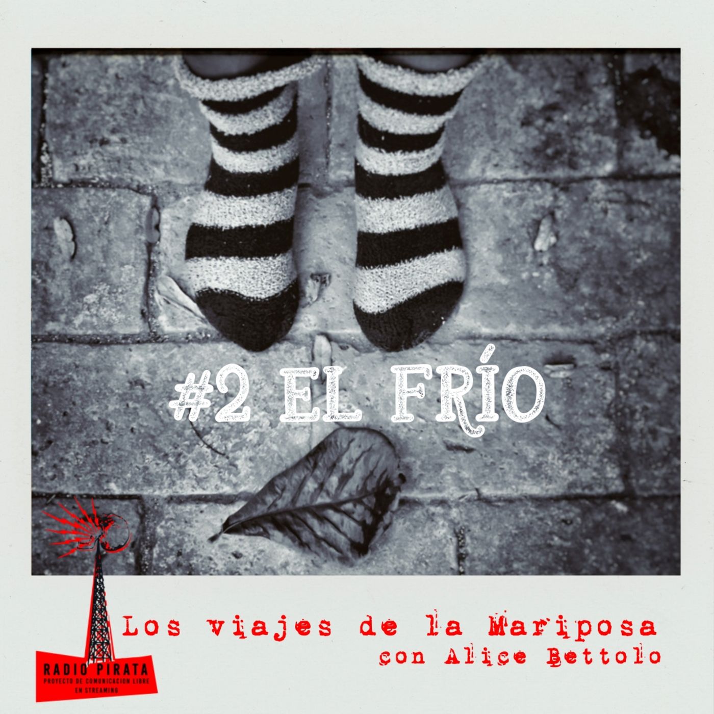 La Radio Pirata - Alice Bettolo