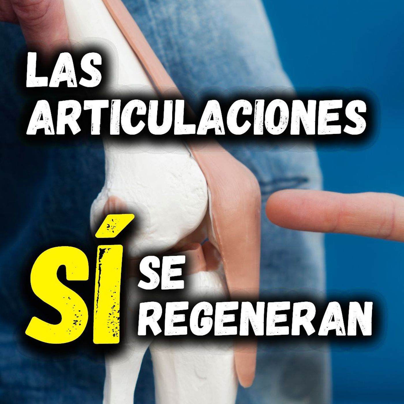 Sabías que... 🤔 Las articulaciones pueden regenerarse con los suplementos adecuados 💊 🙌
