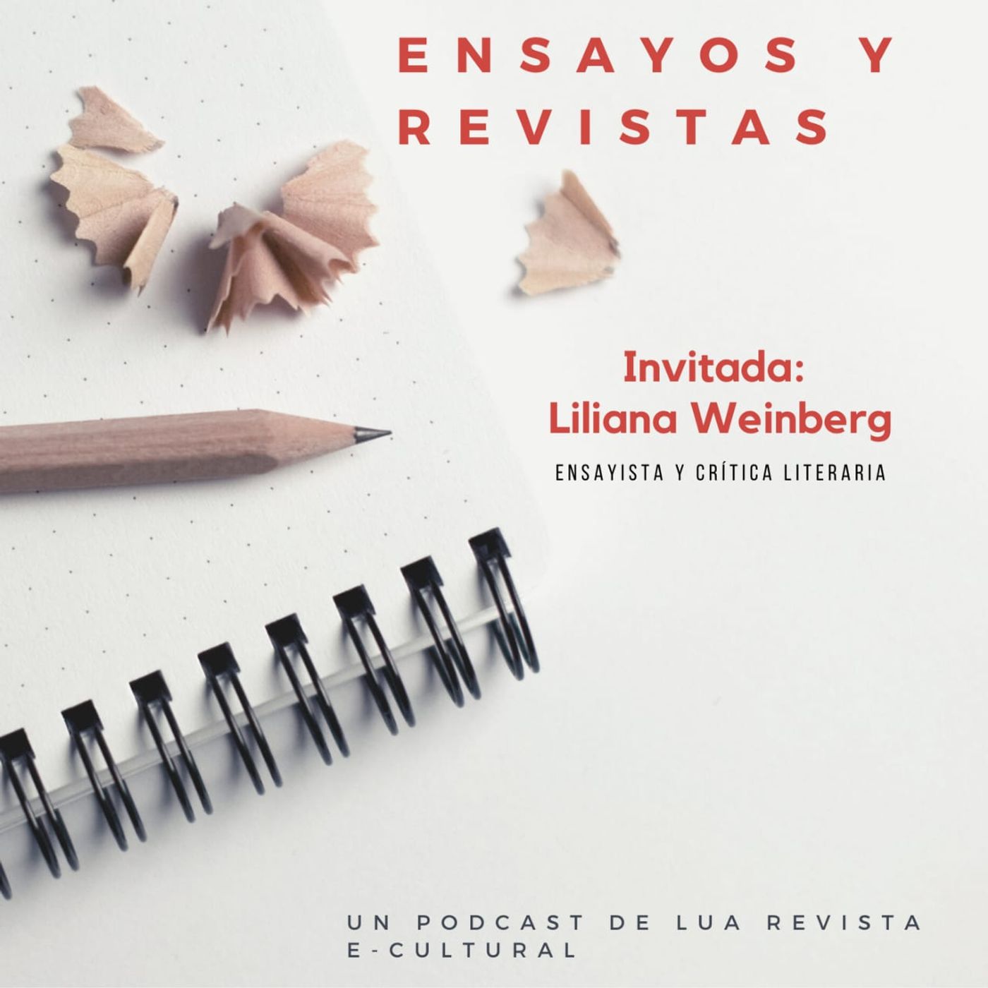 Charla sobre Ensayo y Revistas
