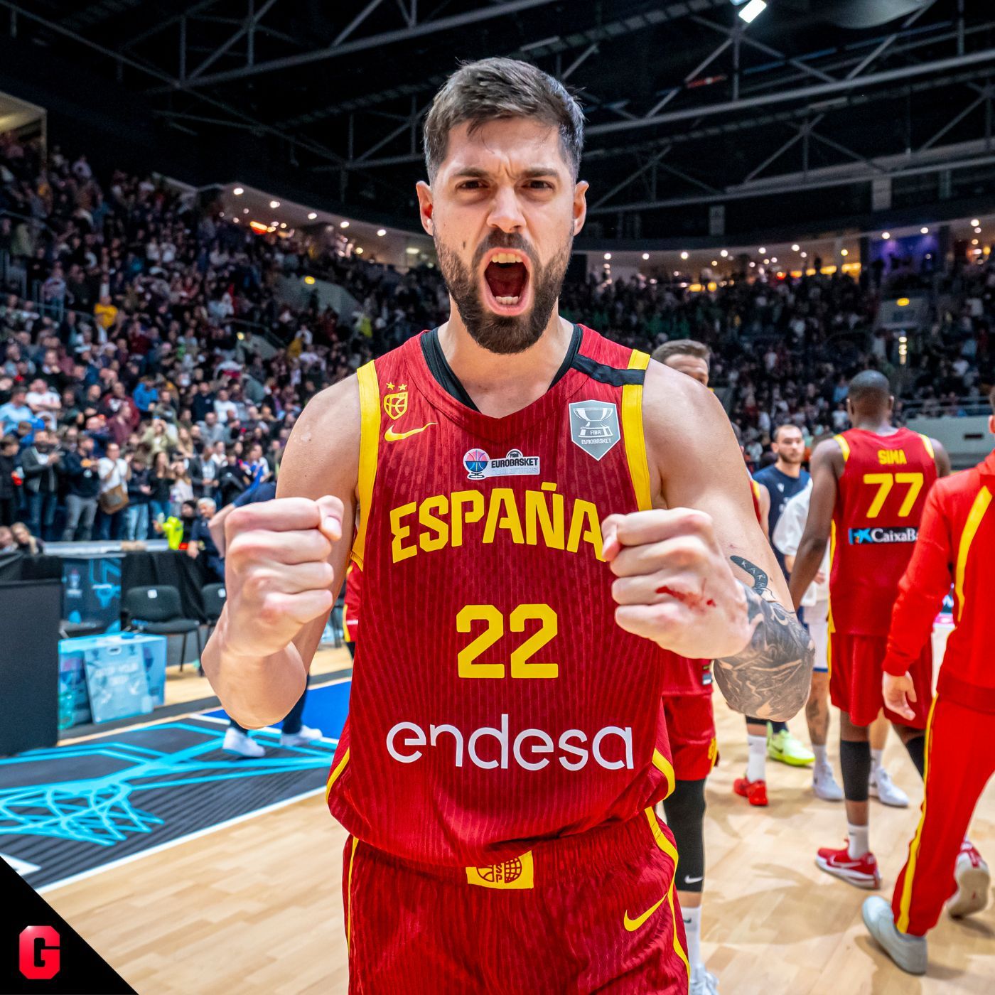 Gigantes Daily, baloncesto al día