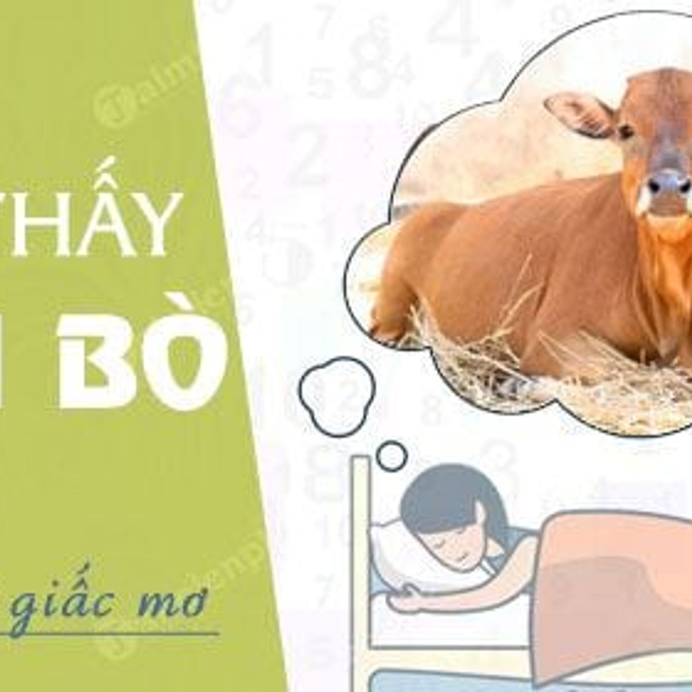Nằm Mơ Thấy Con Bò: Bí Ẩn Giấc Mơ Và Con Số May Mắn episode artwork