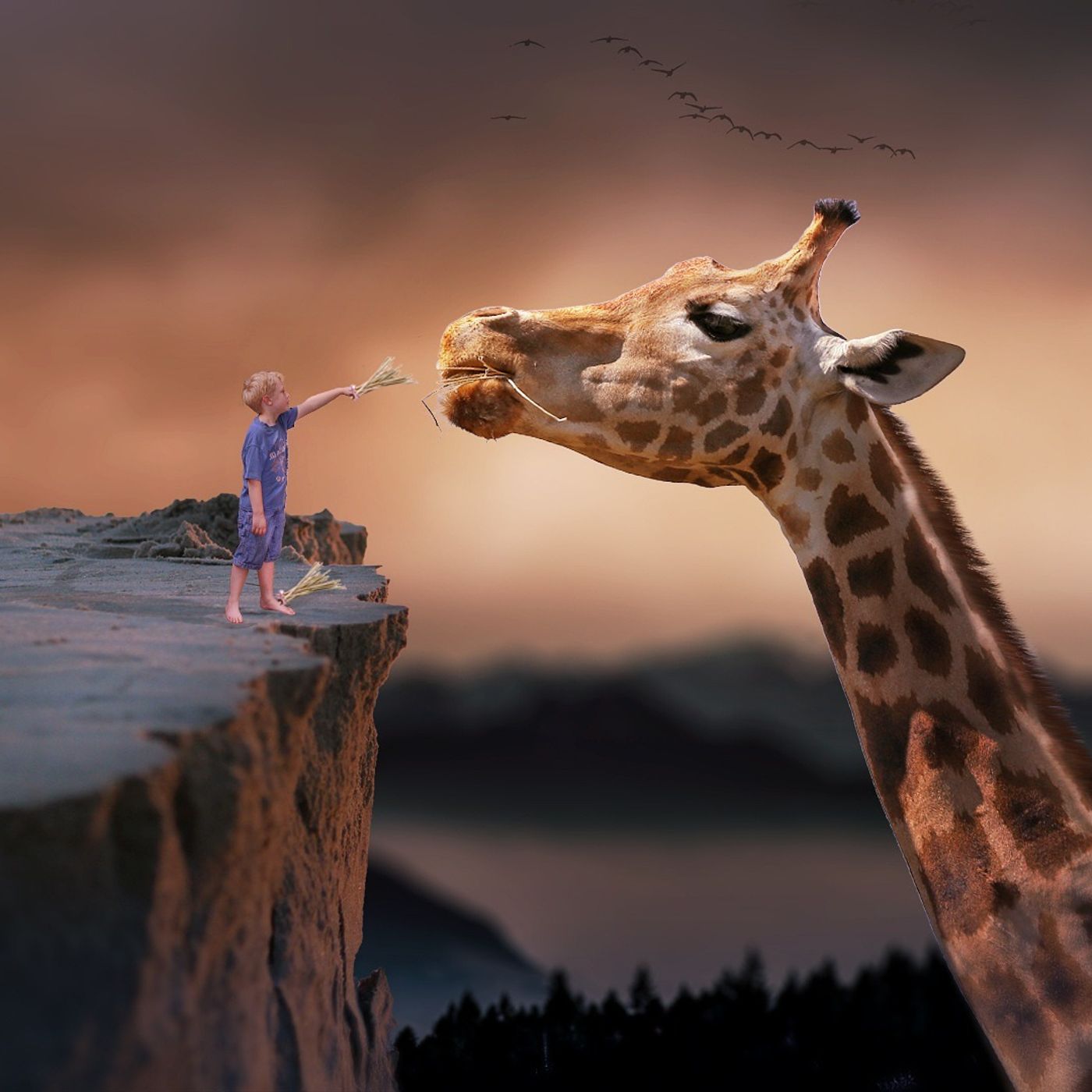 Echoes of Imagination