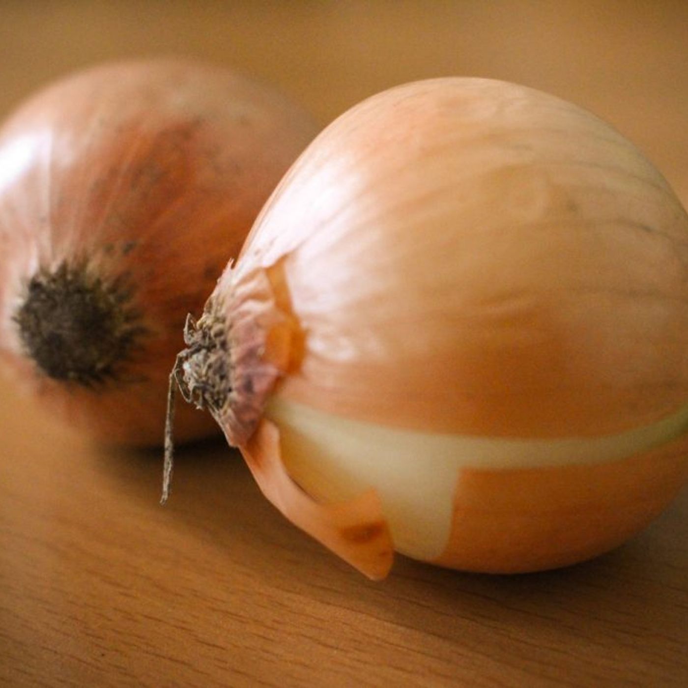 Studio Kalangou (français)