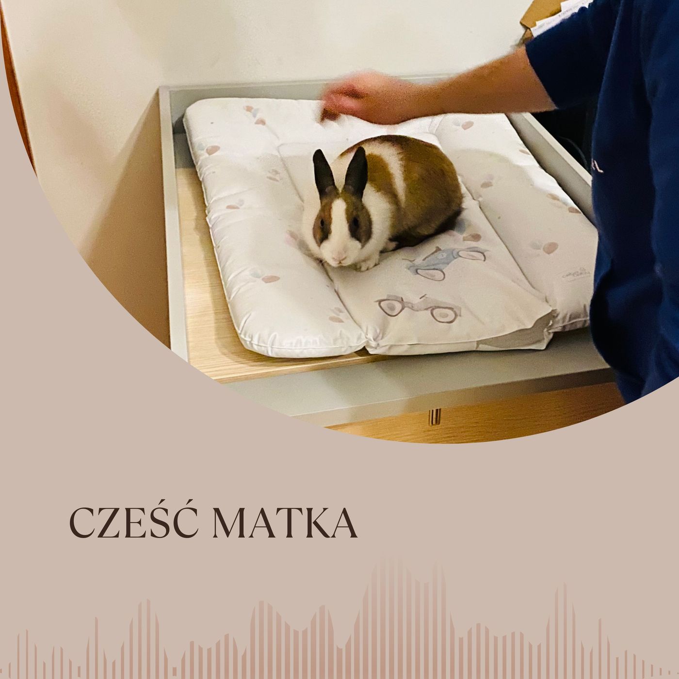 Cześć matka podcast artwork