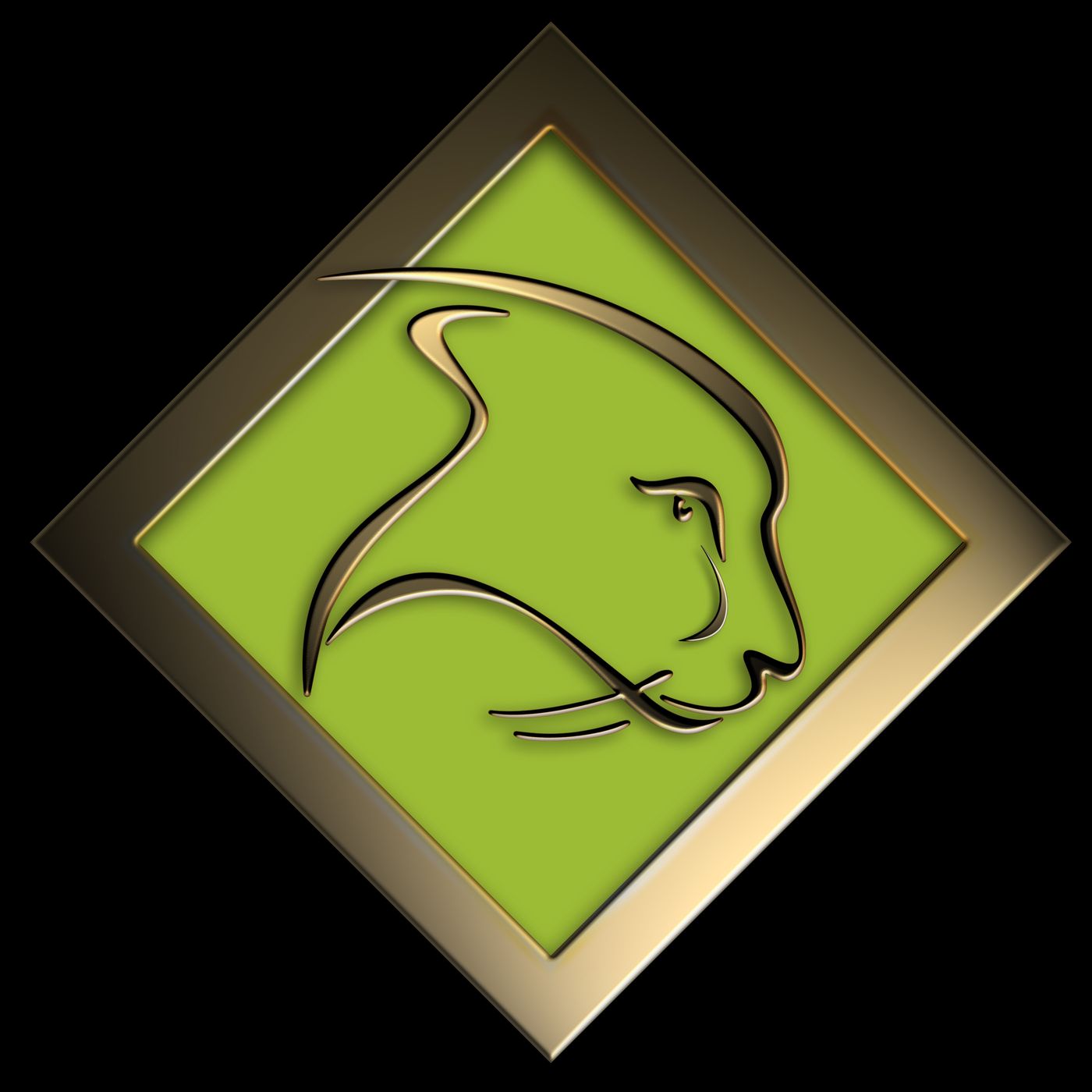 THIS JANUARY 28 ON THE TRUCKER RADIO SHOW THIS JANUARY 28 ON THE TRUCKER RADIO SHOW