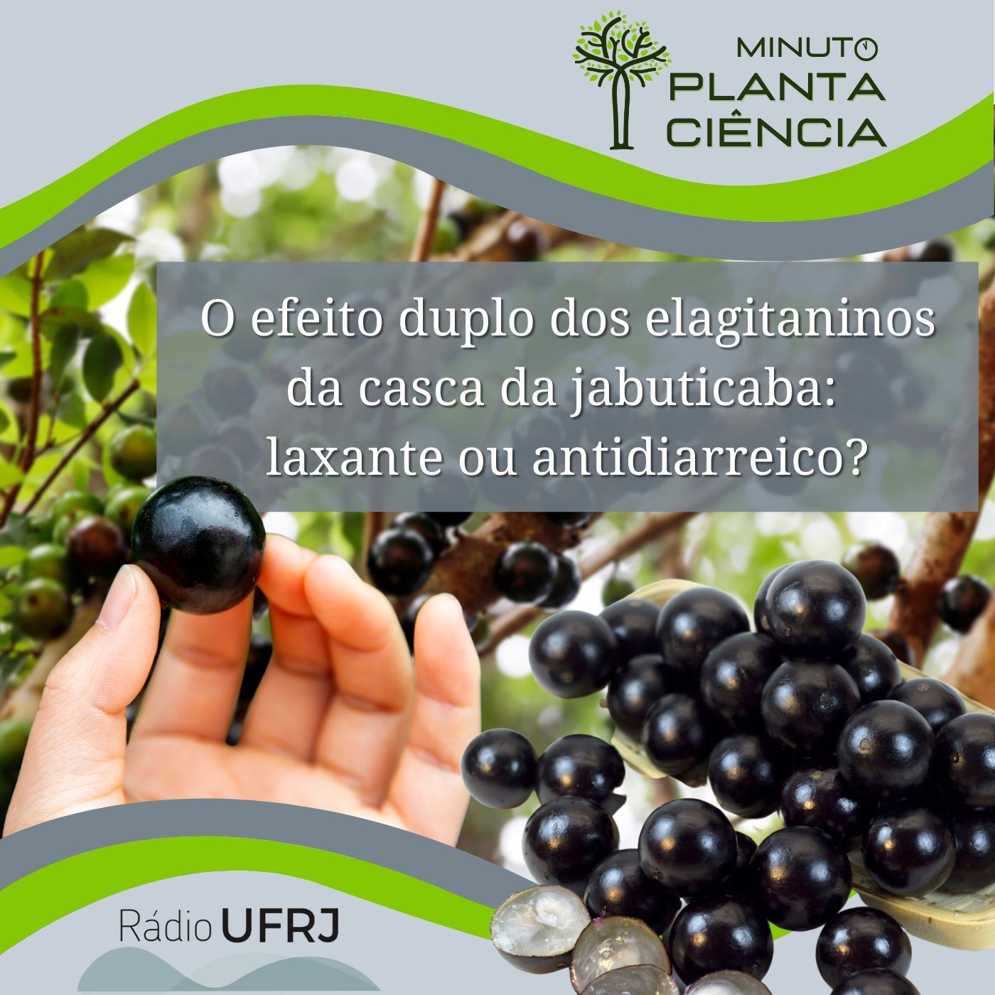 PlantaCiência