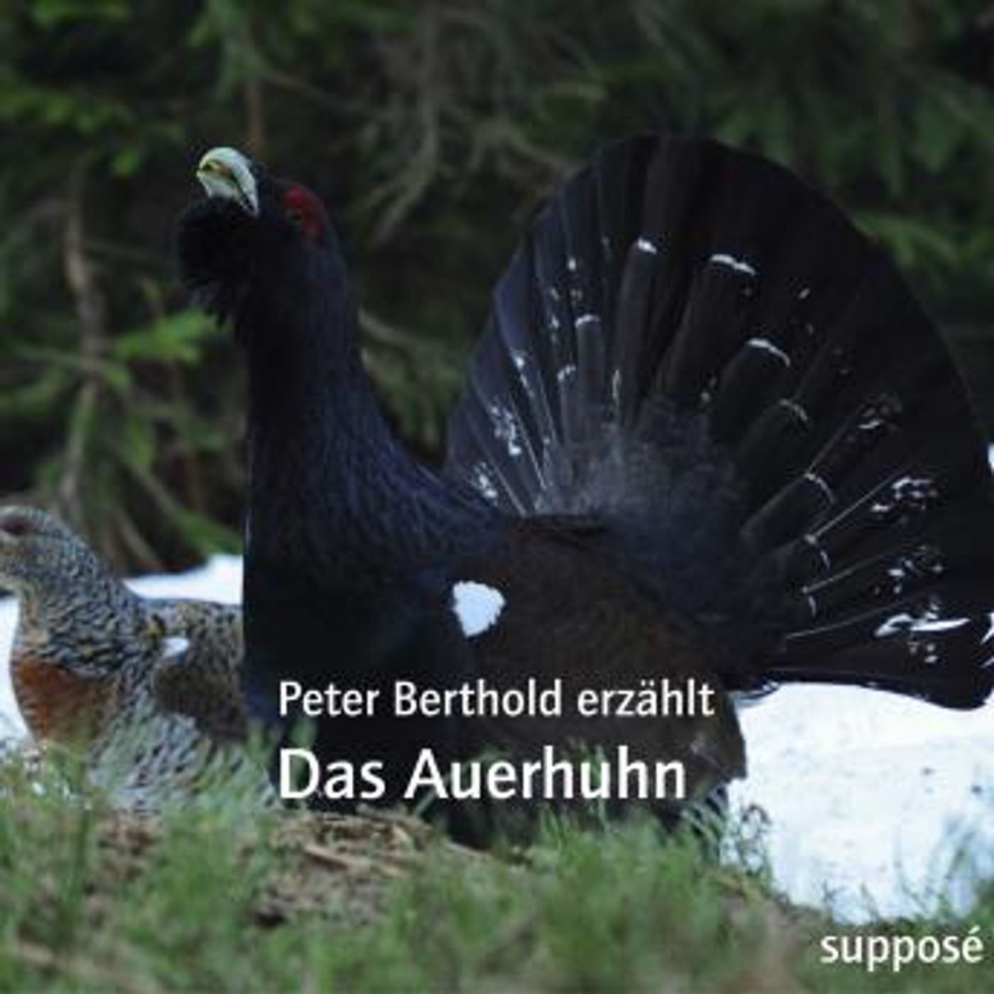 Download New Full Audiobooks in Non-Fiction, Animals & Nature