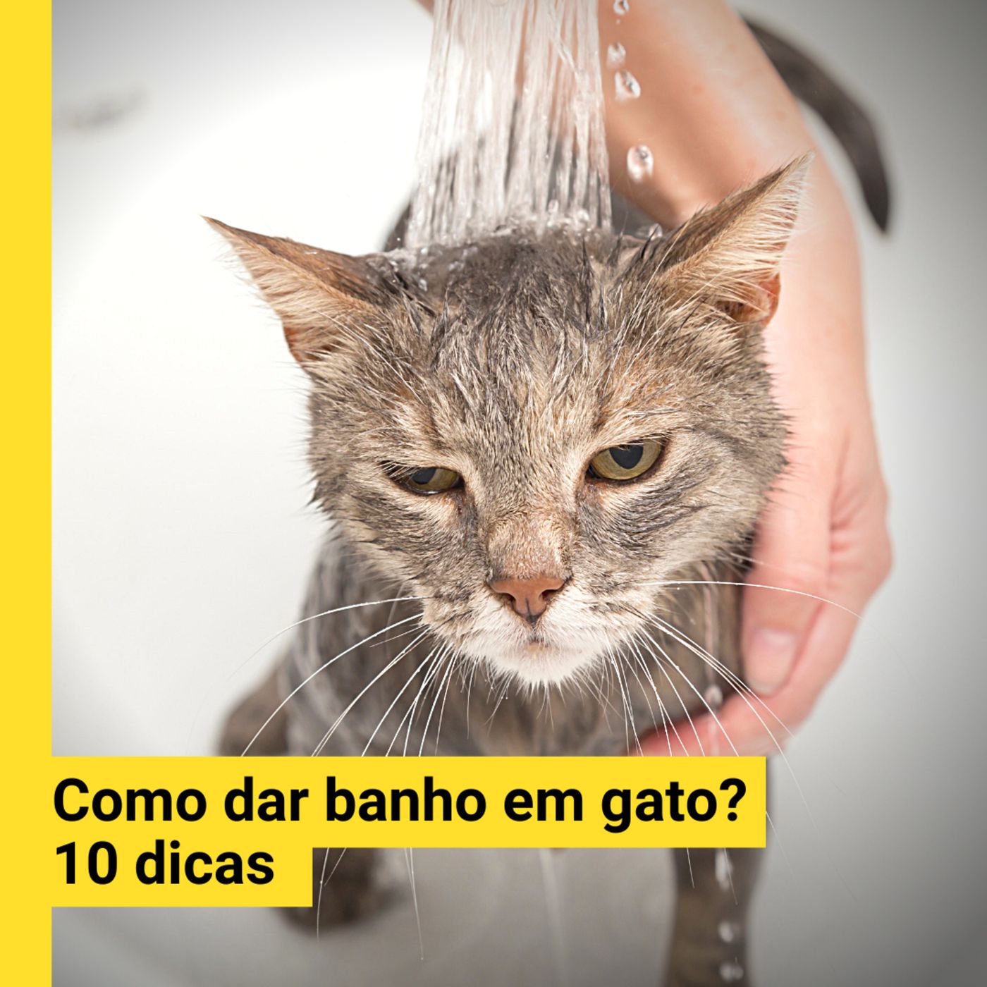 Promoções.PET