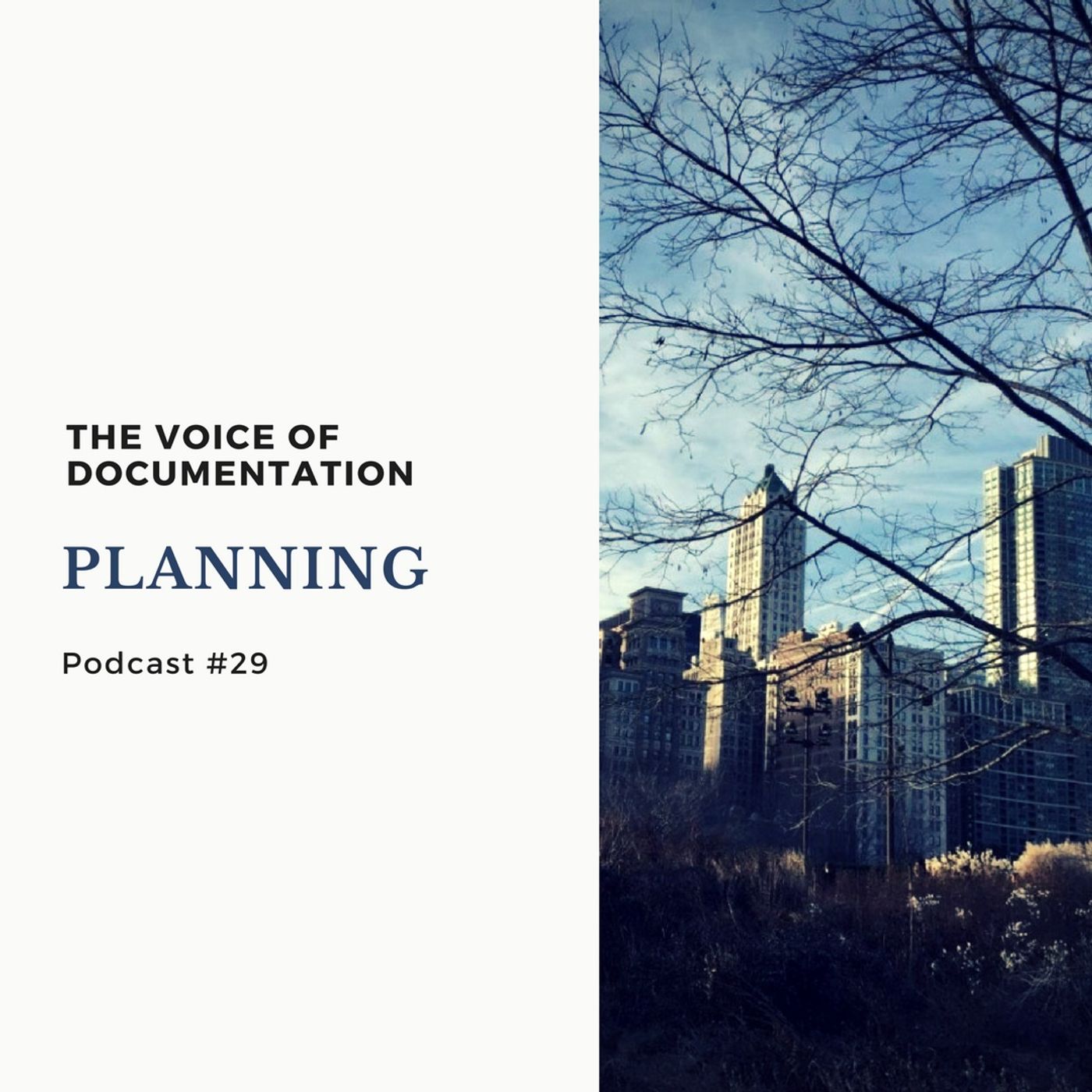 The Voice Of Documentation