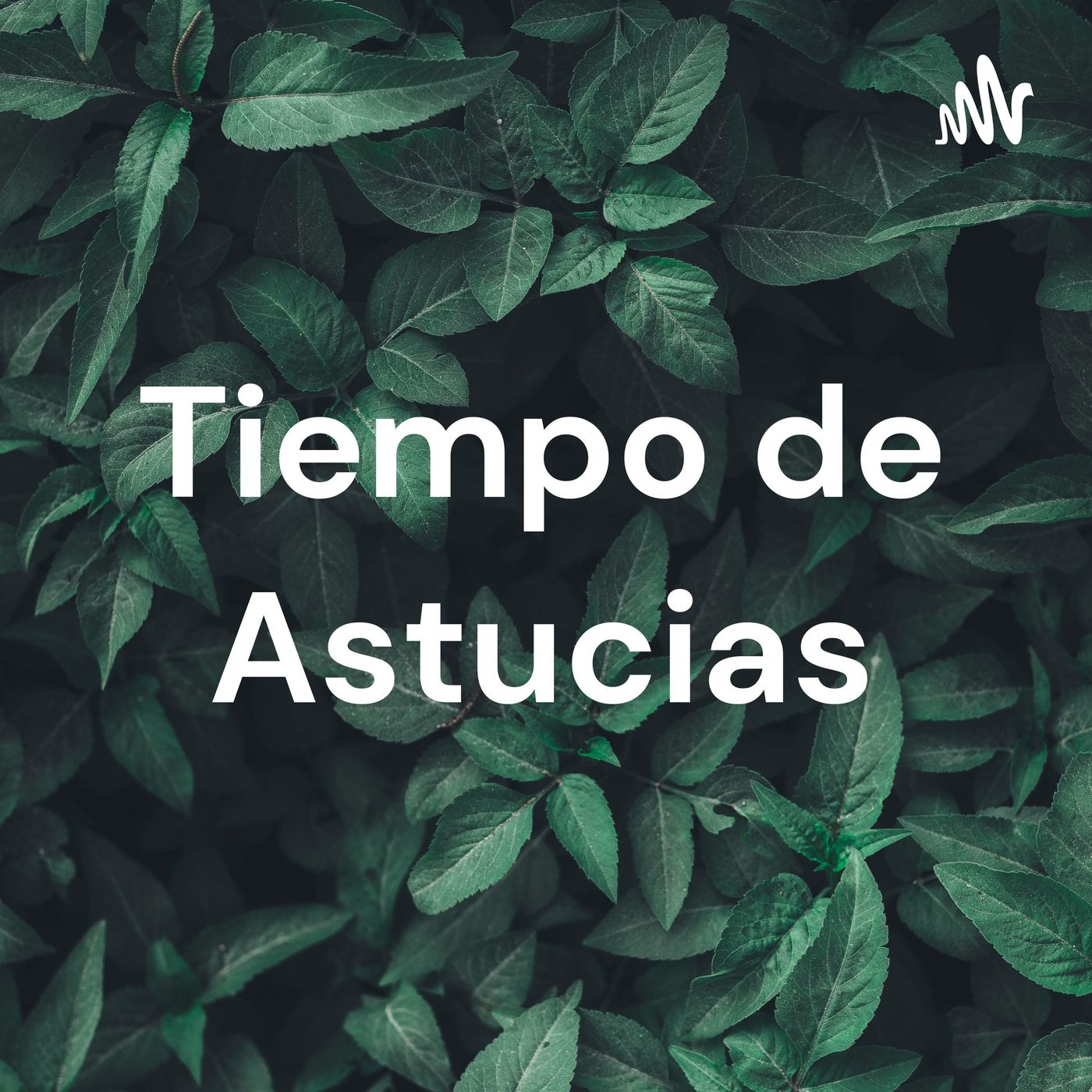 Tiempo de Astucias
