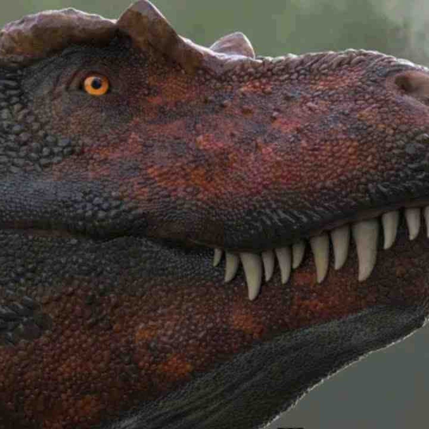 Tyrannosaurus Rex - Ancient Animal episode artwork