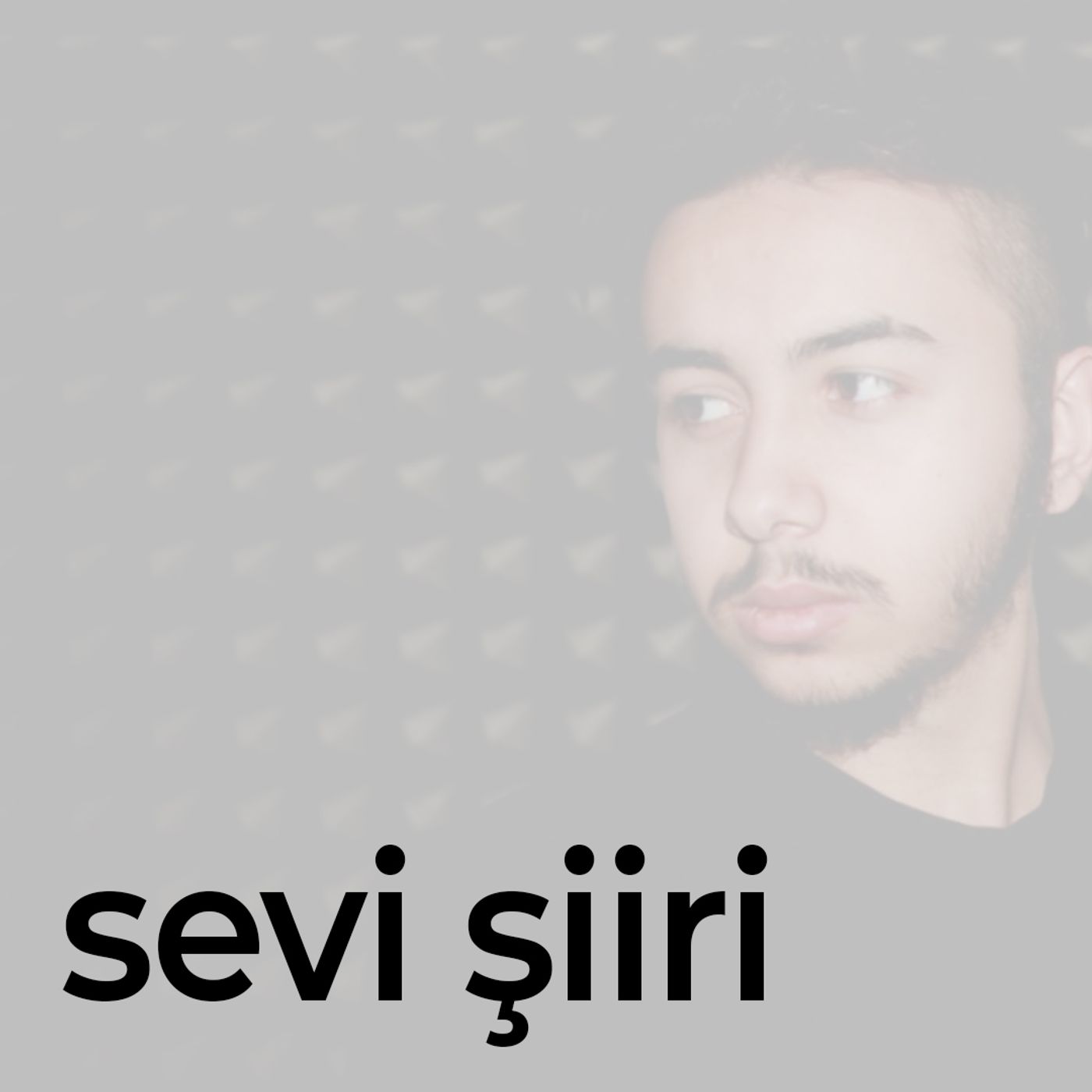 Sesli Şiirler