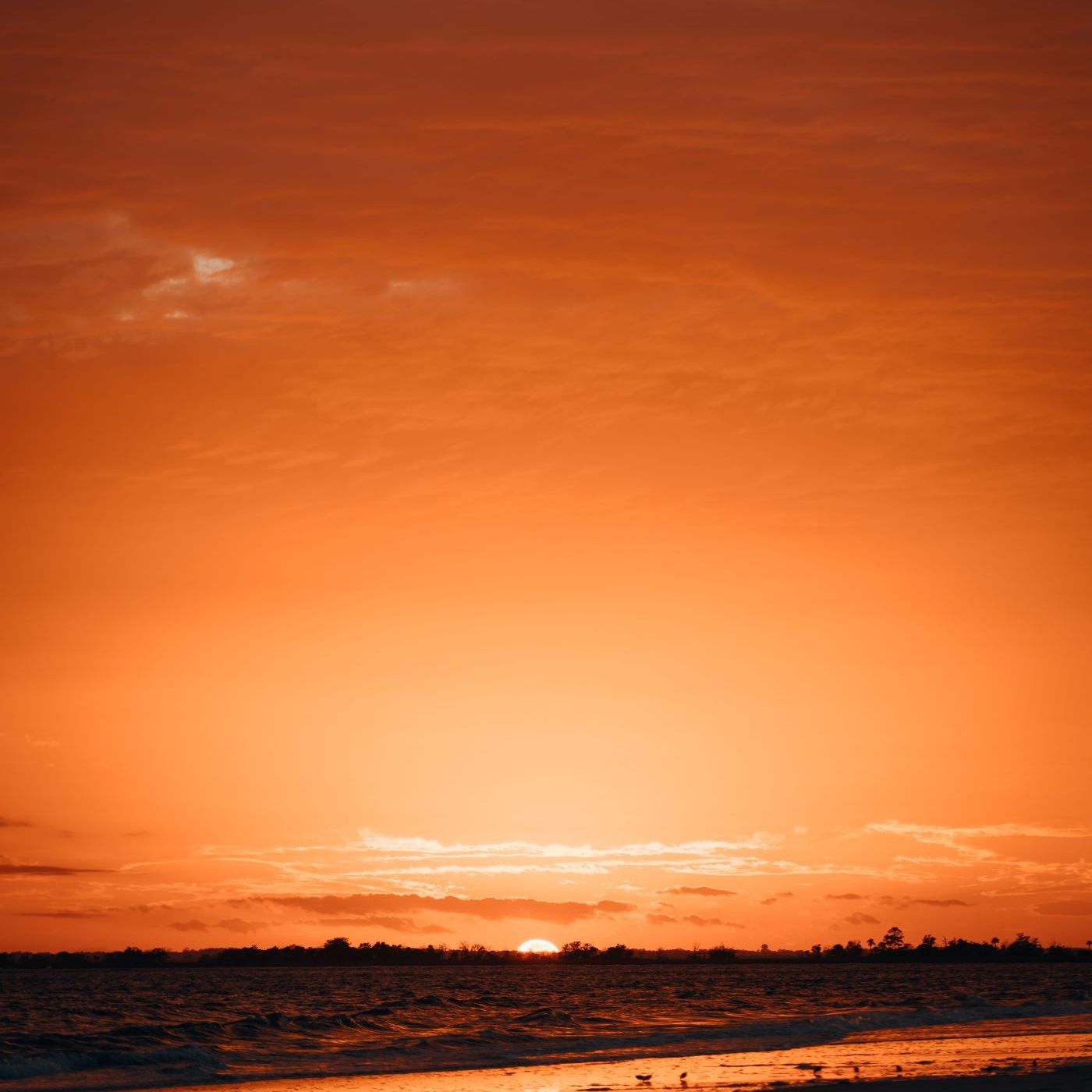 WEEK 46 - Hebrews 7-13