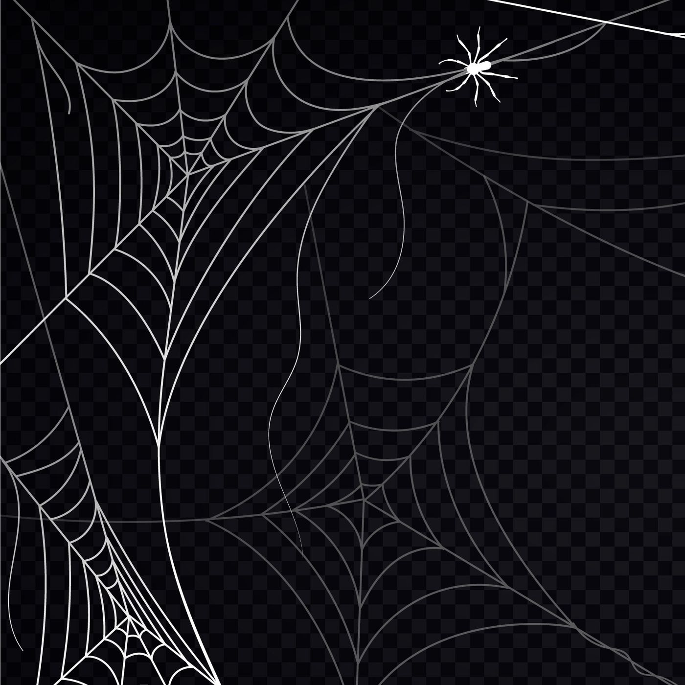 Ep. 5 Il filo di ragnatela