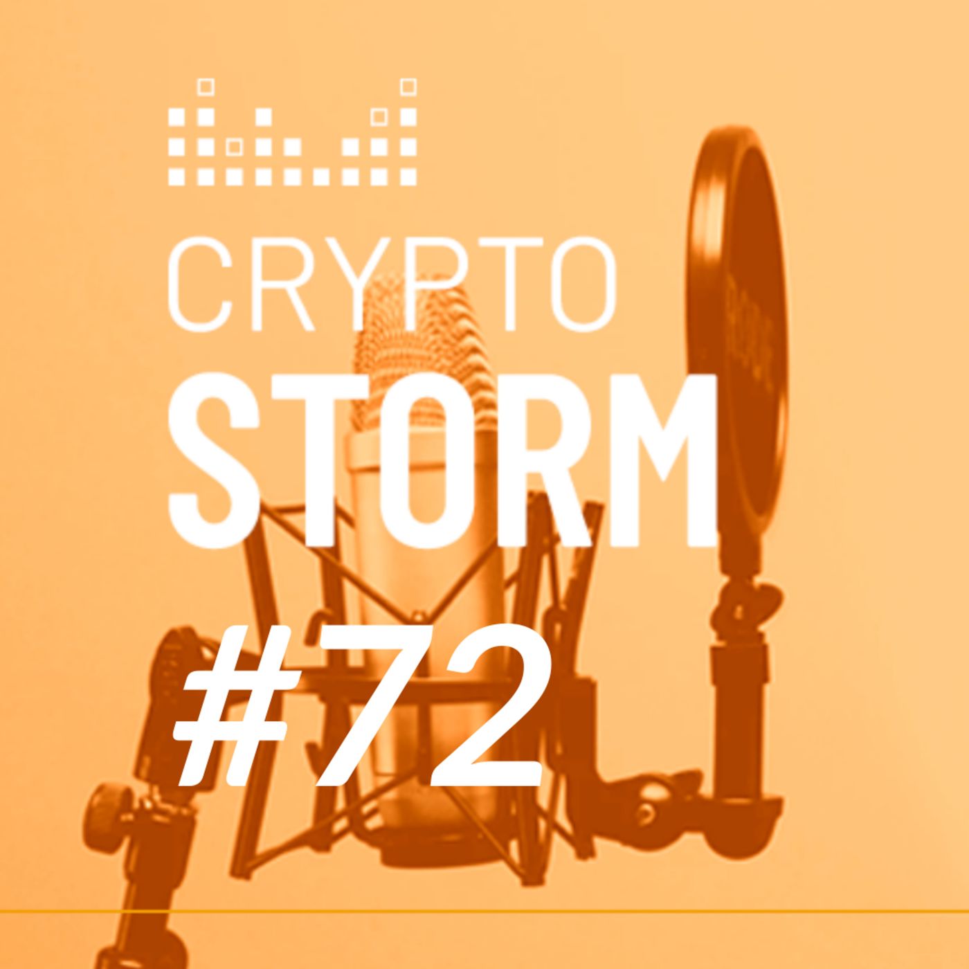 Crypto Storm