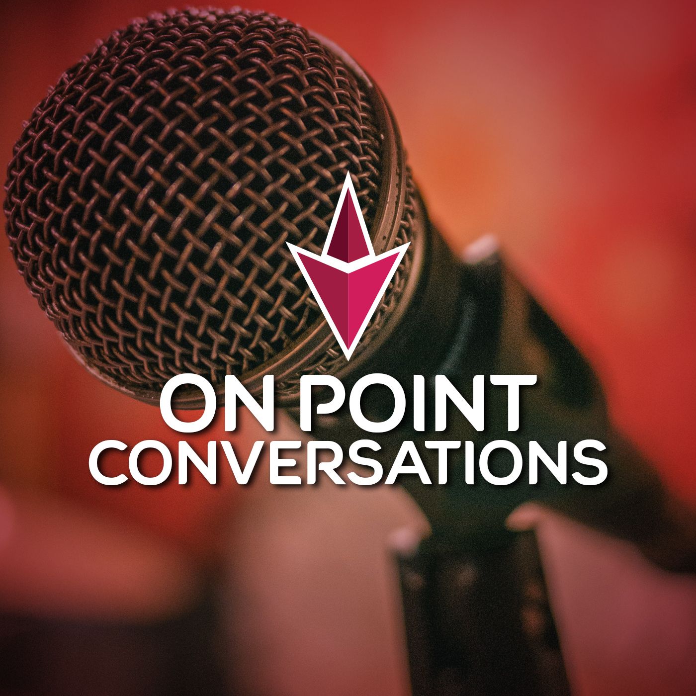 Getting funds for your Non Profit podcast artwork