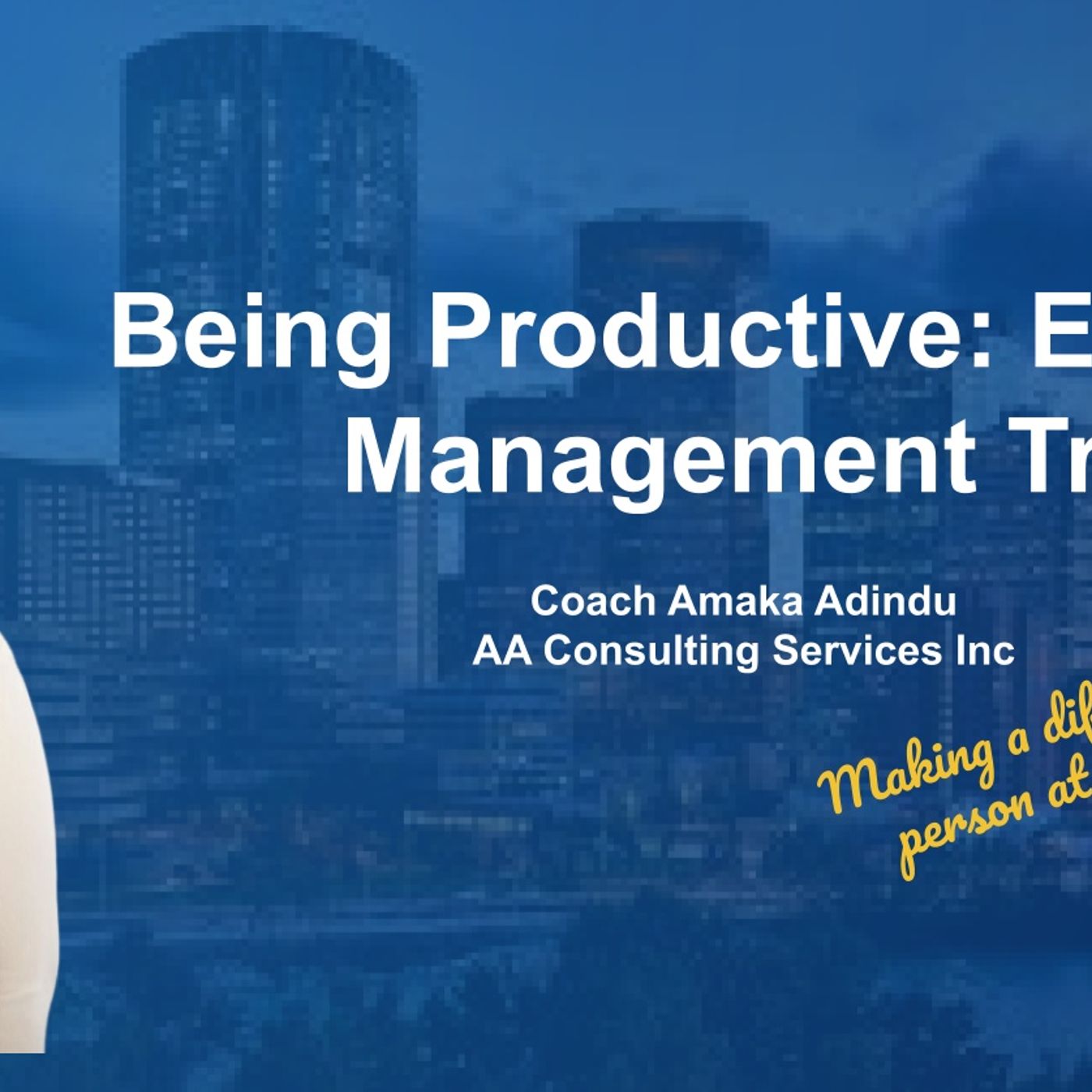 AA Consulting Services Inc