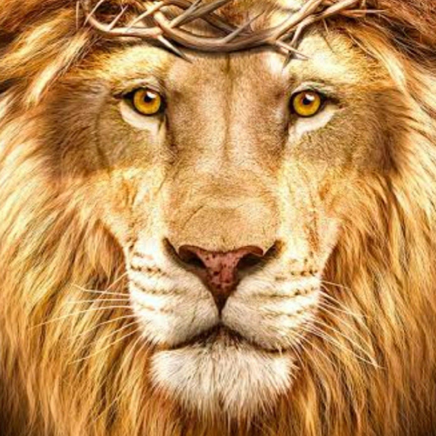 podcast de Isaac da Silva Leal cover art