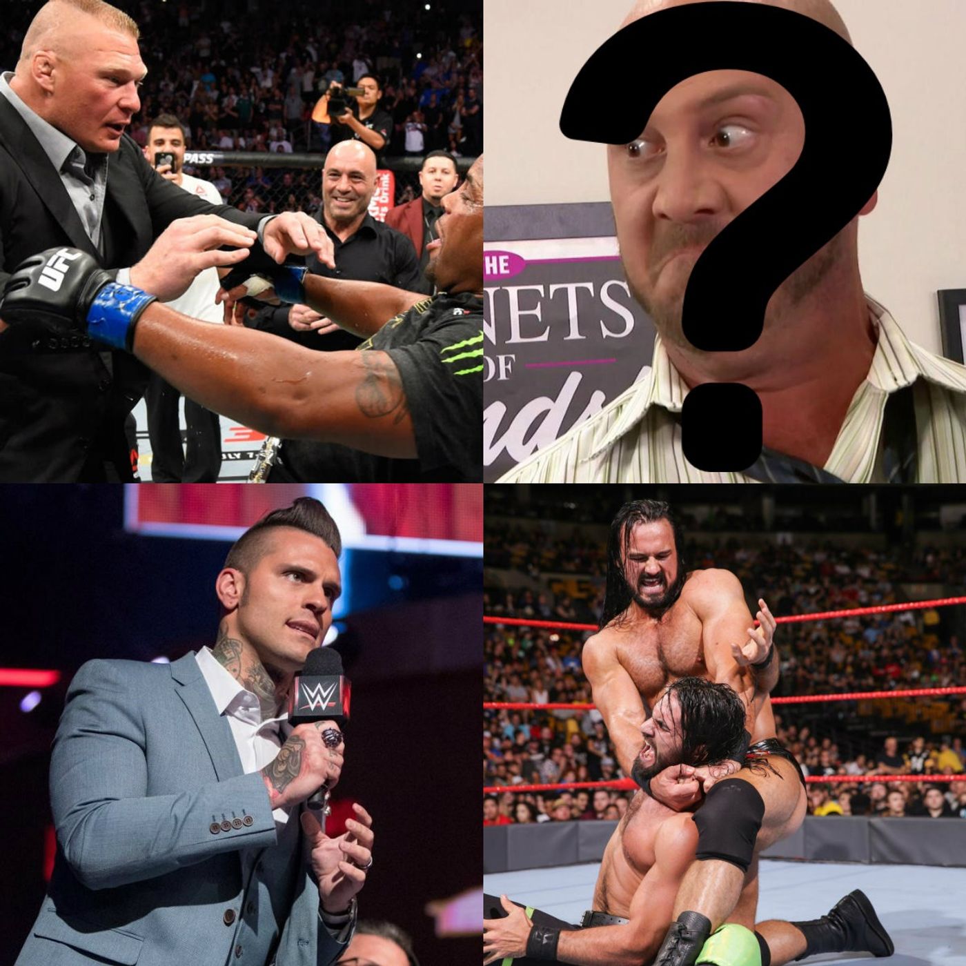 We Enjoy Wrestling