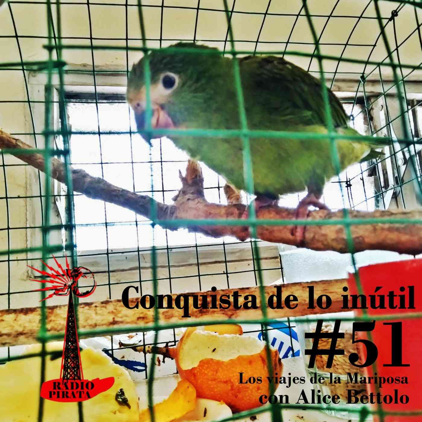 Portada de La Radio Pirata - Alice Bettolo