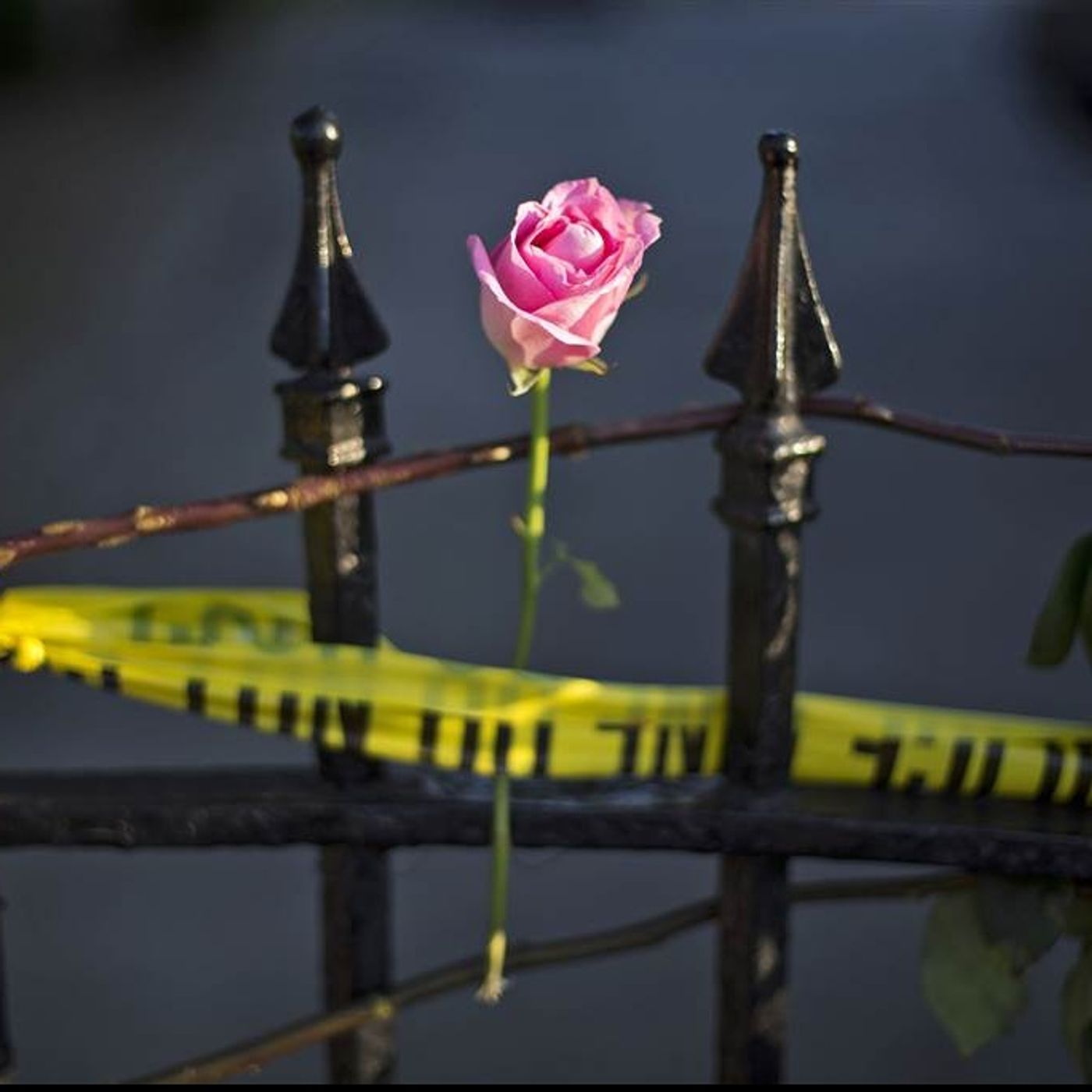 Finding God in the Charleston Massacre episode artwork