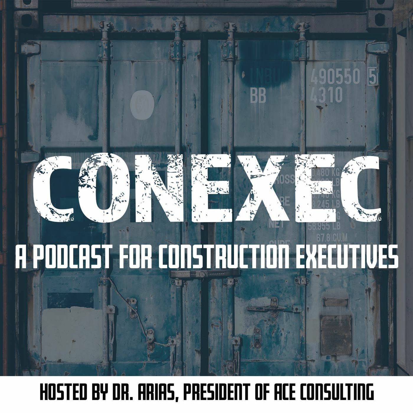 CONEXEC - ACE - CONSULTING