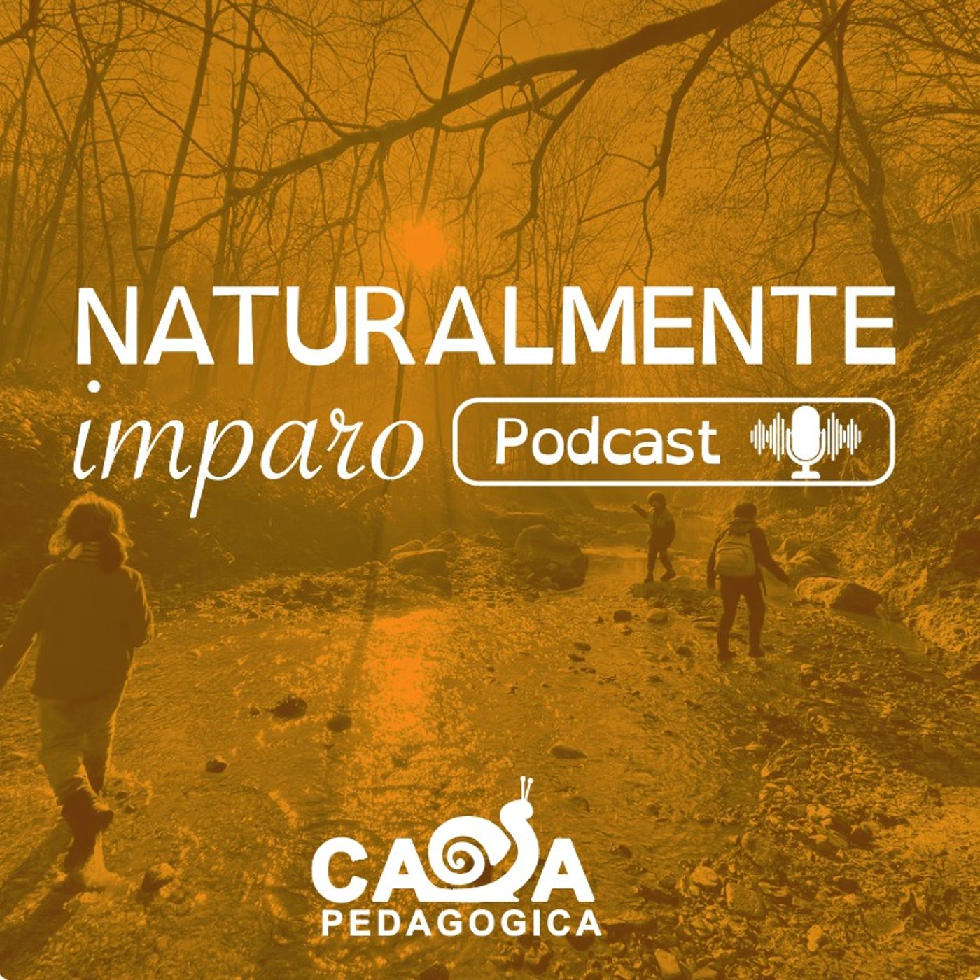 Naturalmente Imparo