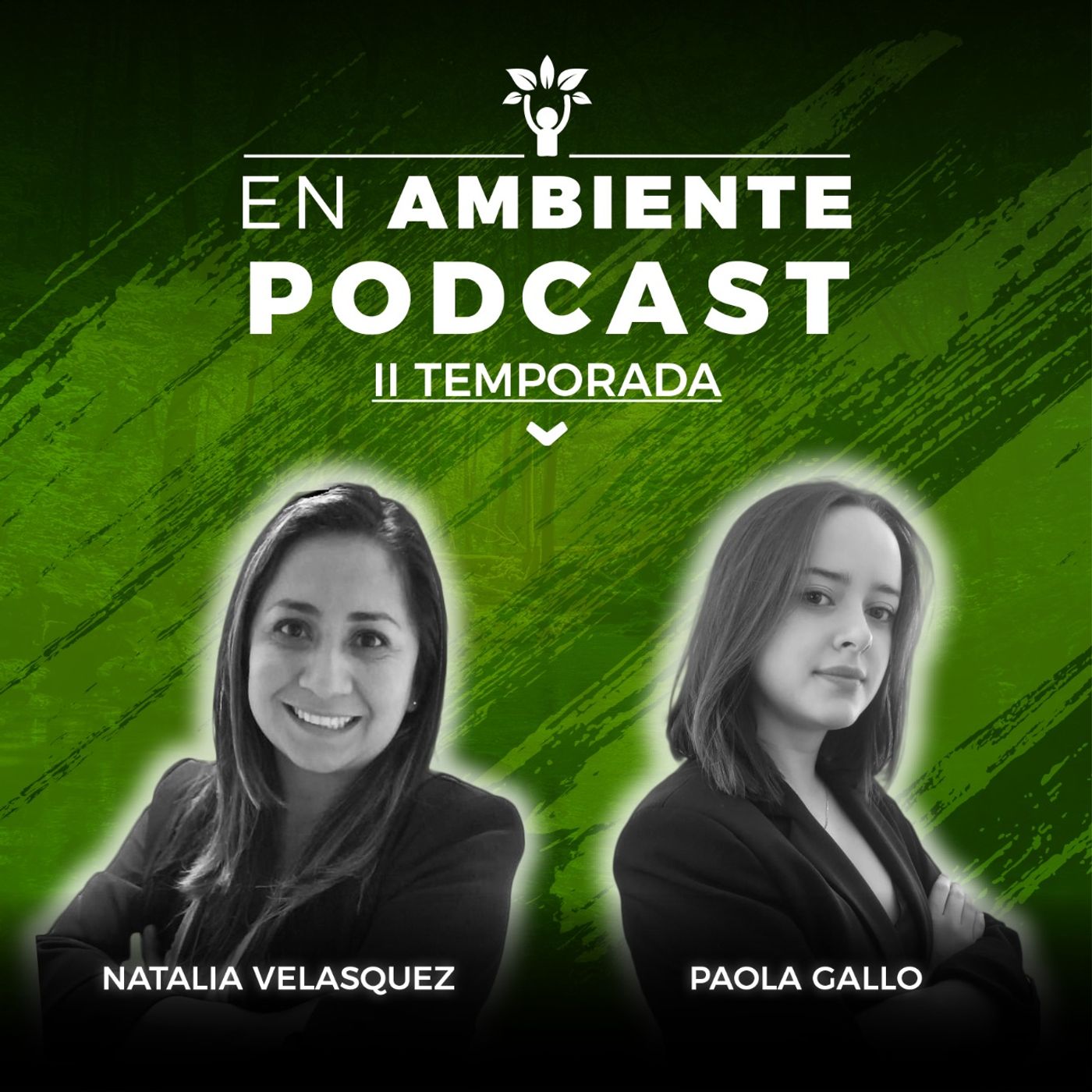 En Ambiente