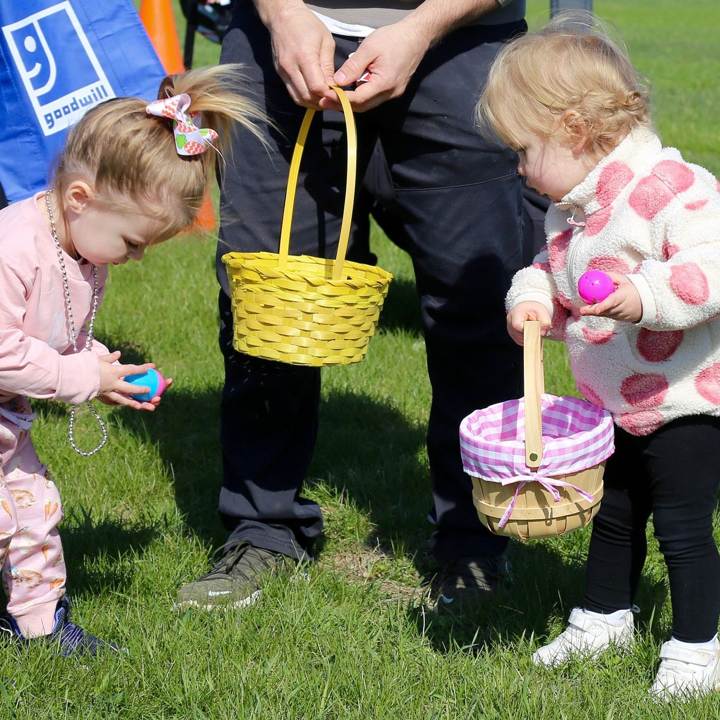 Easter events in Kane County area, from helicopter drops to doggie egg hunts episode artwork