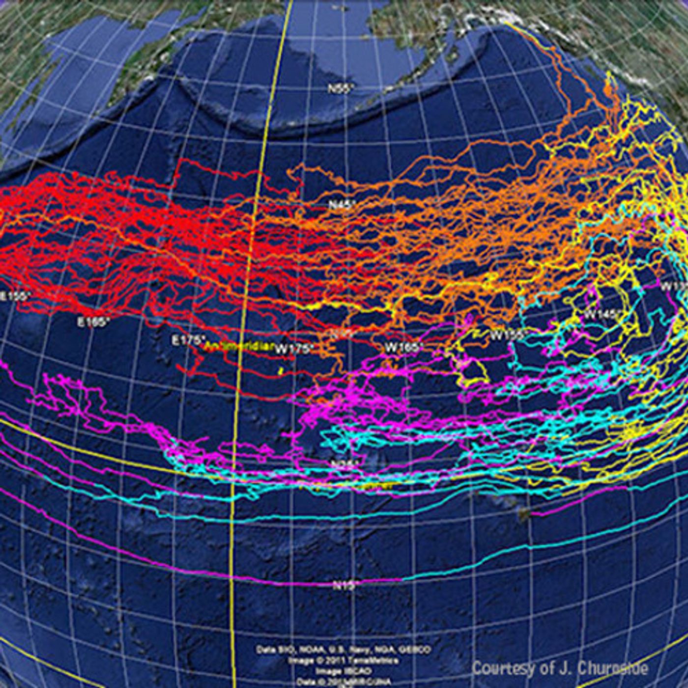 Tsunami Debris Update: Coming Our Way In 2013 episode artwork