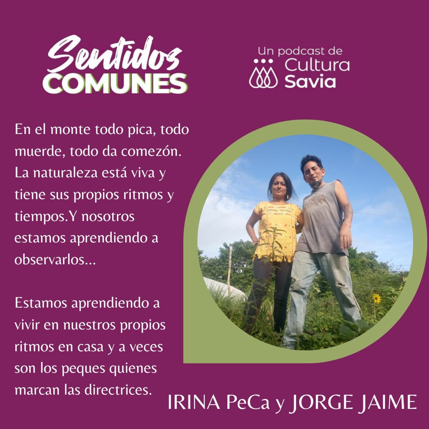 Sentidos comunes