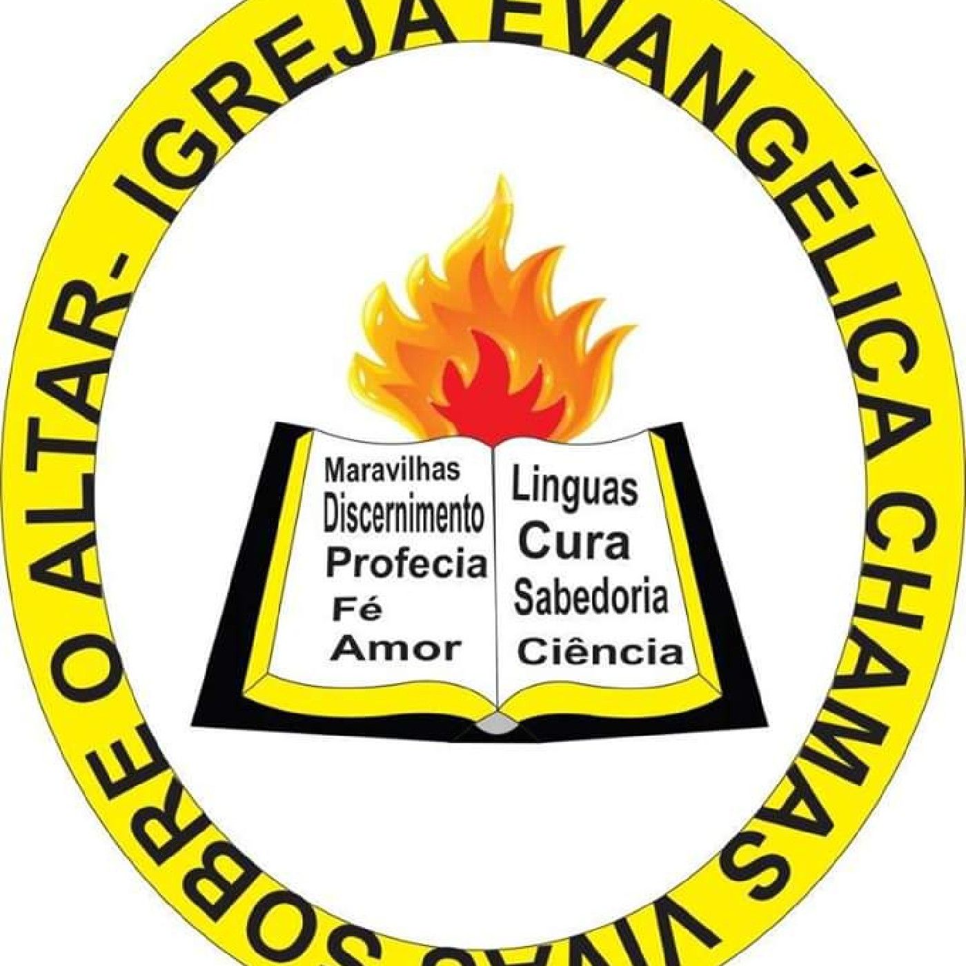Chamas vivas Em Ação