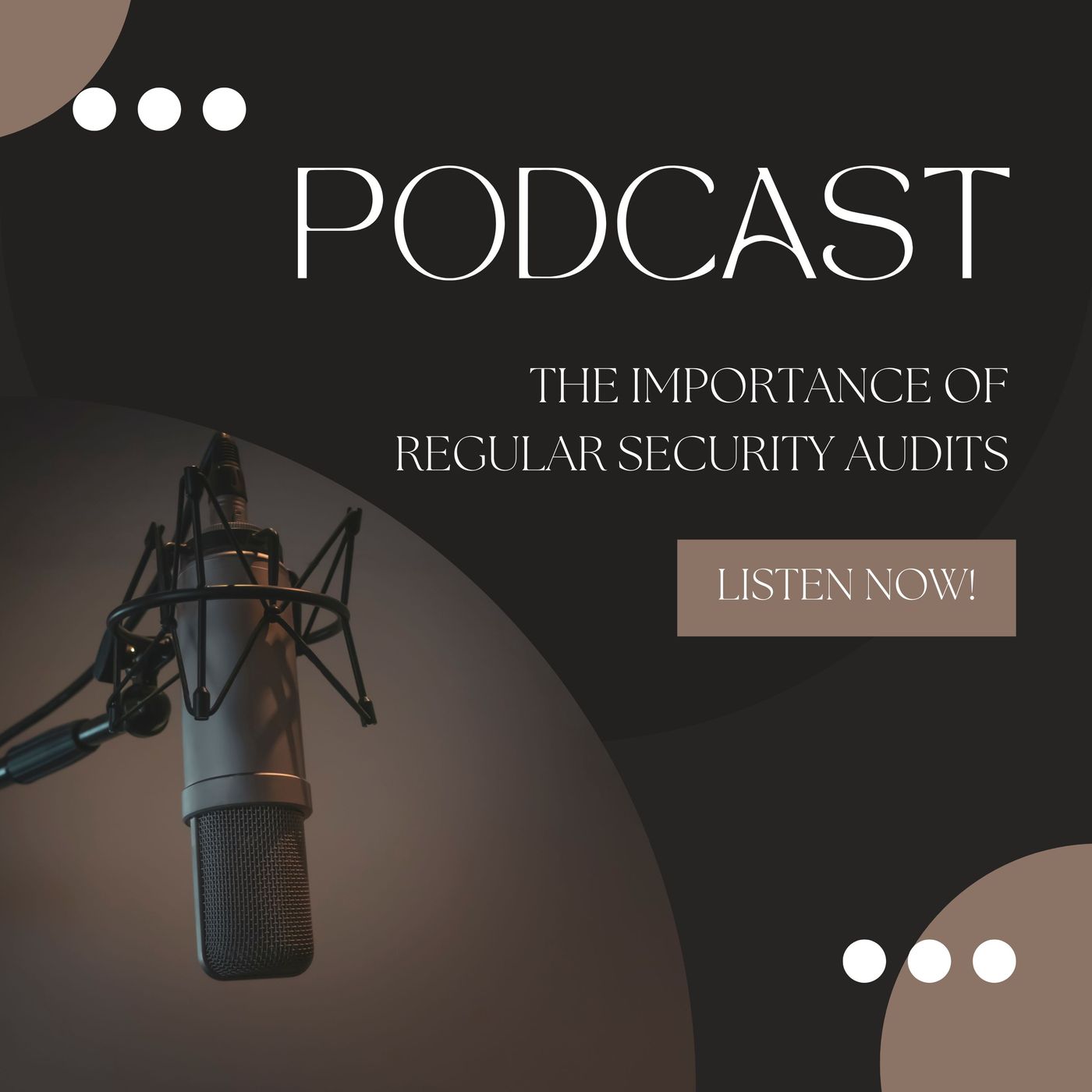 Cynthia Kayle The Importance of Regular Security Audits in Protecting Your Organization episode artwork