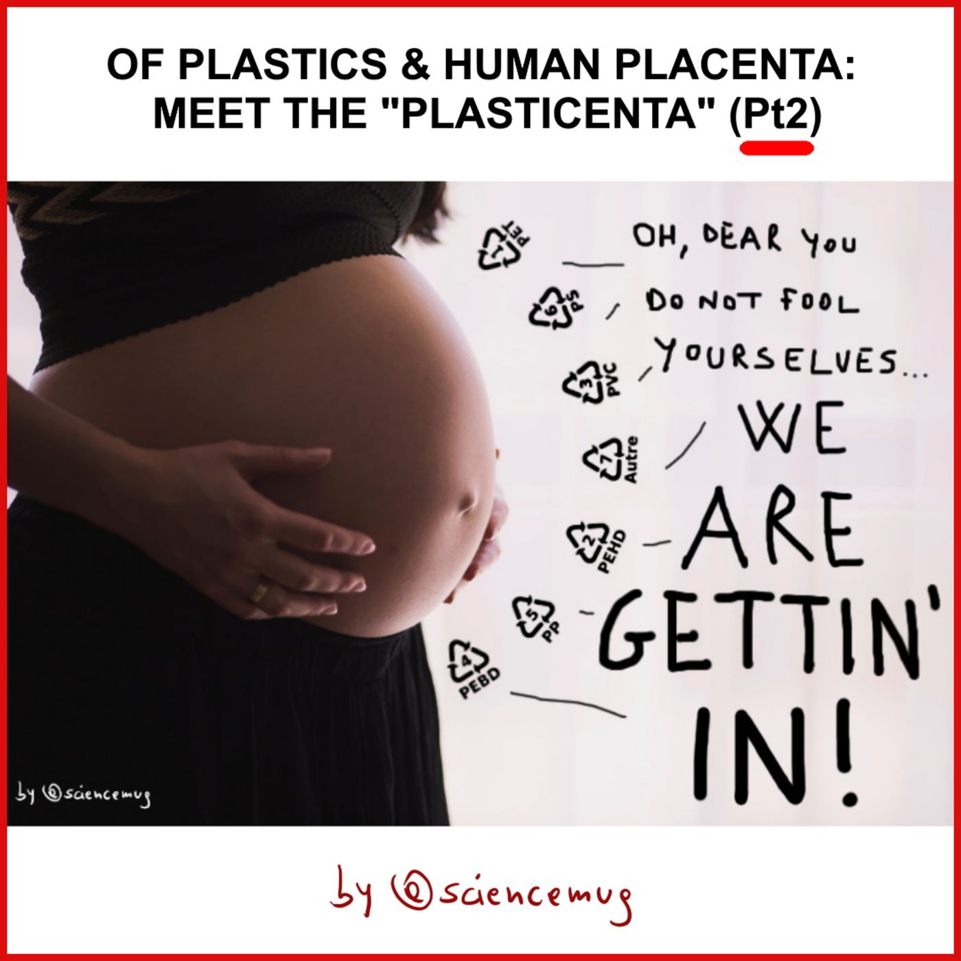 Of plastics & human placenta: meet the "plasticenta" (Pt2)