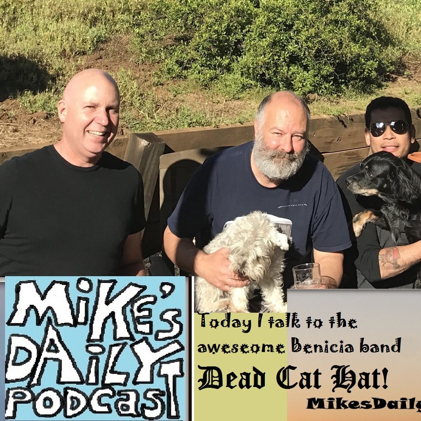 INTO AN INTERVIEW Dead Cat Hat thumbnail