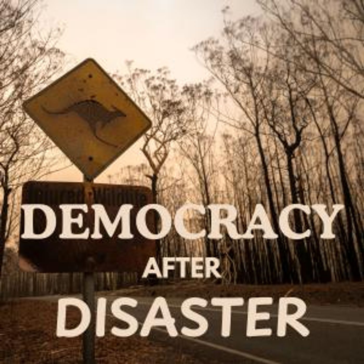 Democracy After Disaster