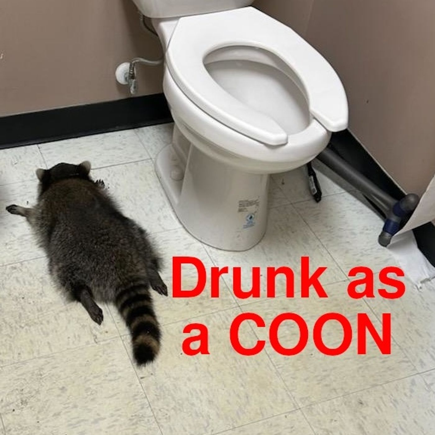 Drunk Coon In A Liquor Store, Pittsburgh Grinch, and A Masterbating Fireman episode artwork