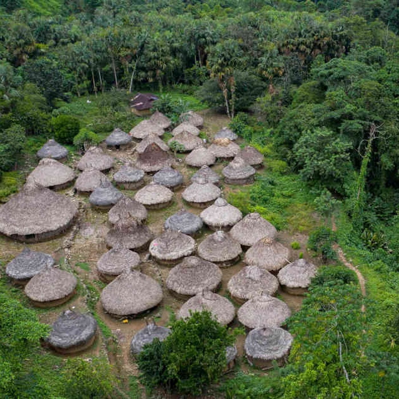 Desplazados dejaron daños irreparables en la Sierra Nevada de Santa Marta episode artwork