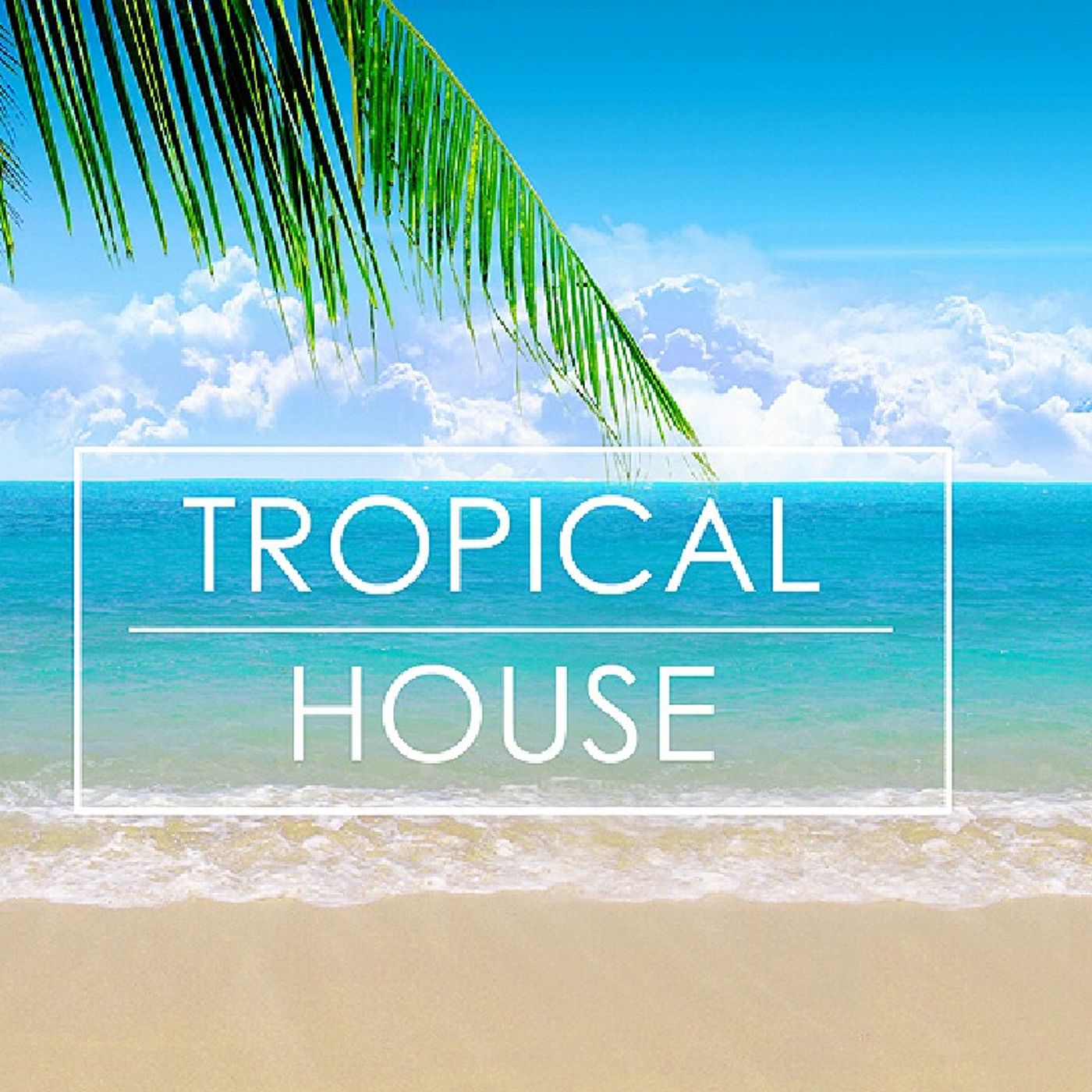 Tropical House episode artwork
