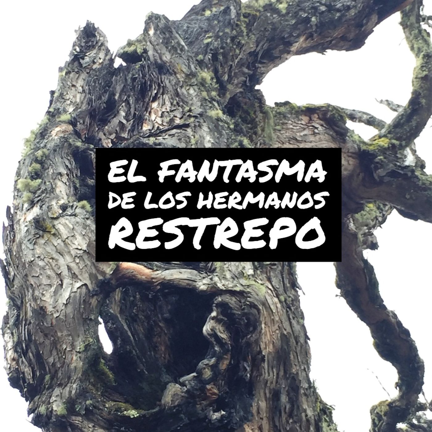A propósito... por Fermín Sandoval