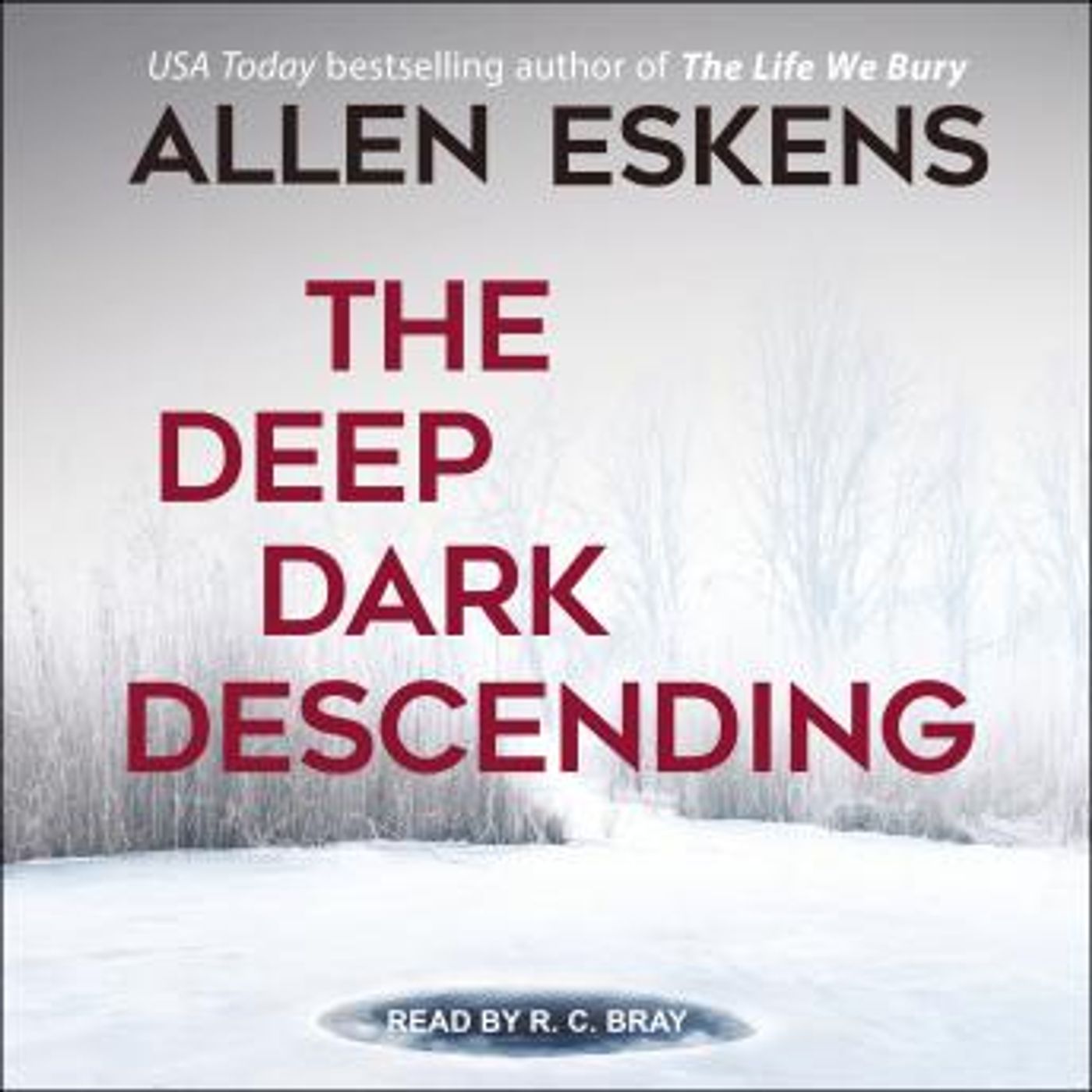 Grab the Top Full Trial Audiobooks in Mystery, Thriller & Horror, Police & Detective