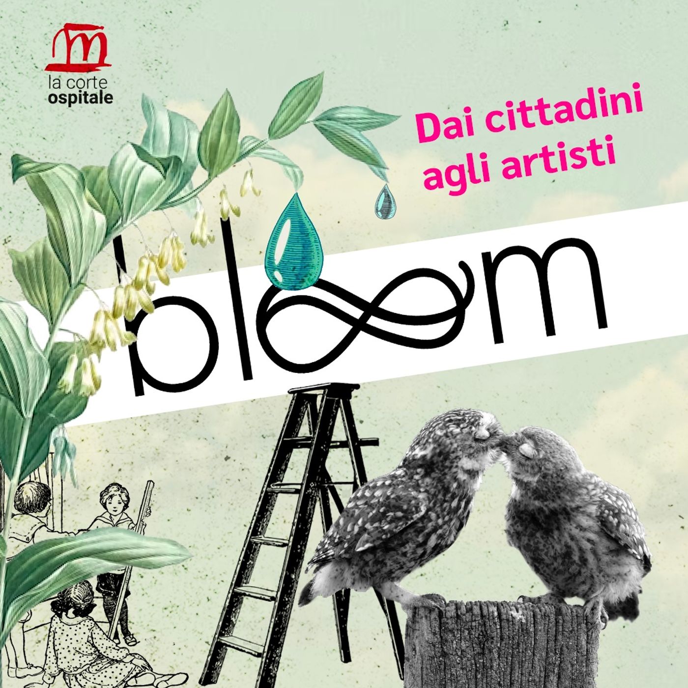 Pillole di Bloom