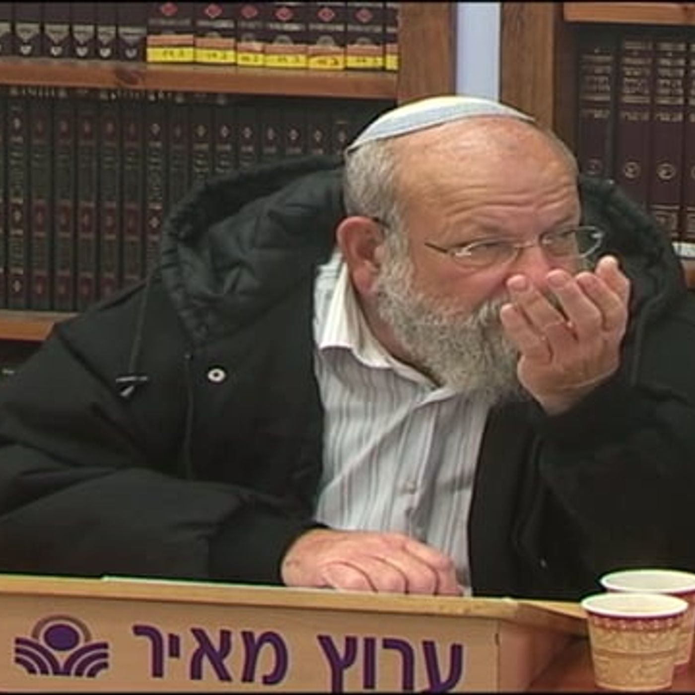 "ואתה תדבר אל כל חכמי לב" – בחבלי משיח episode artwork