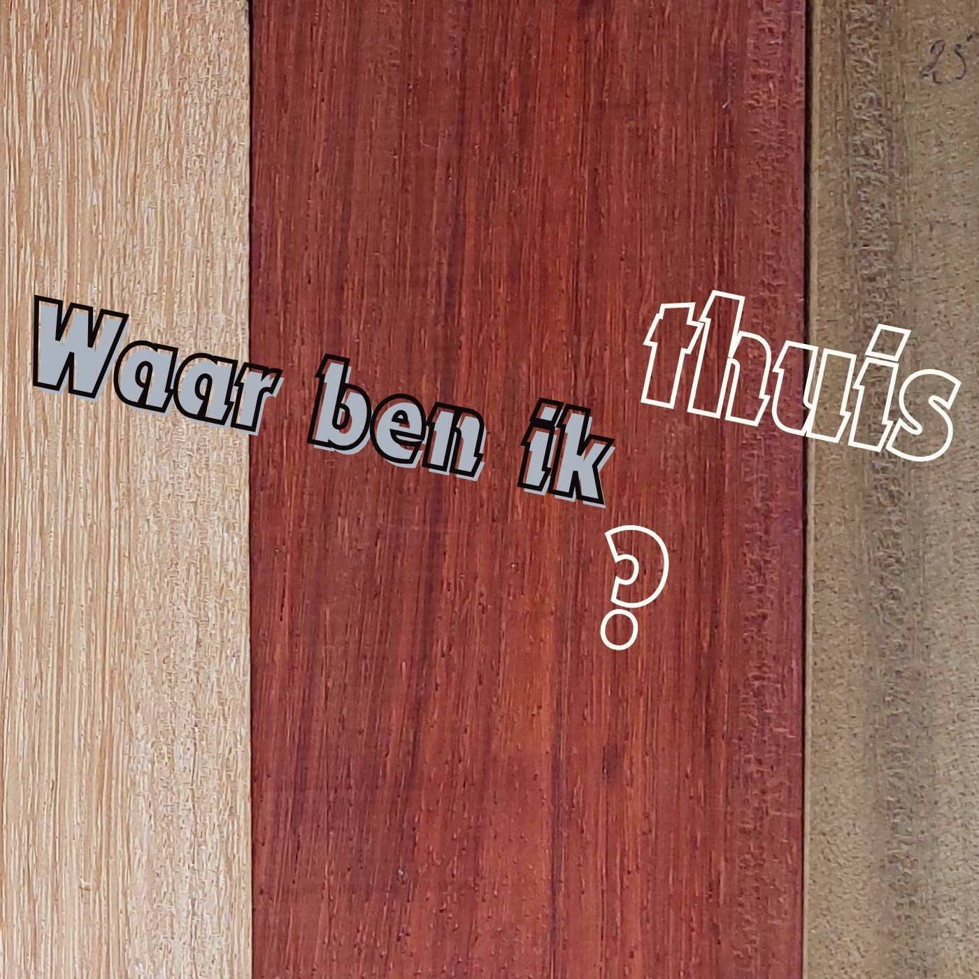 Stemmen uit het Predikheren