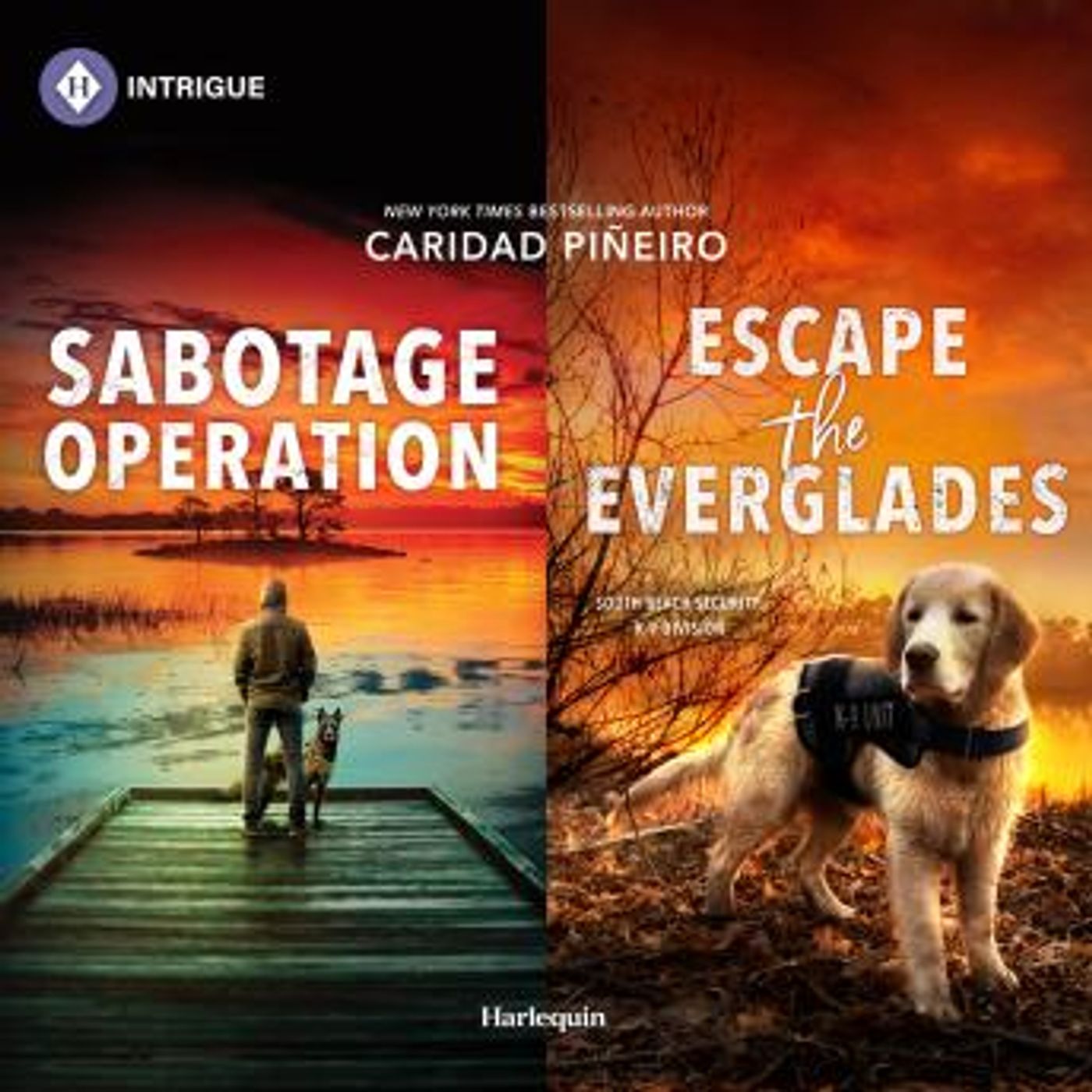 Grab the Essential Free Audiobooks in Romance, Mystery
