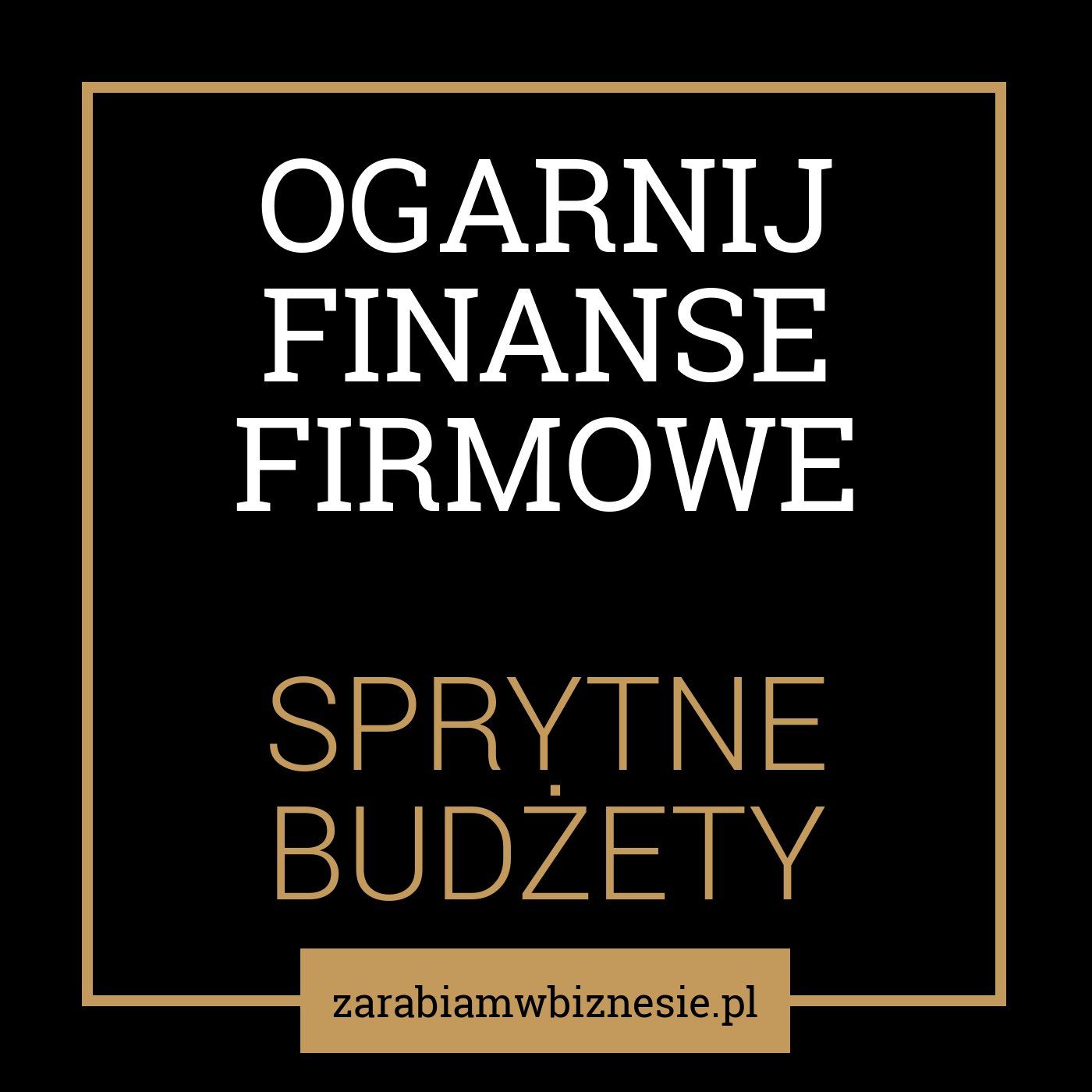 Zarabiam w Biznesie