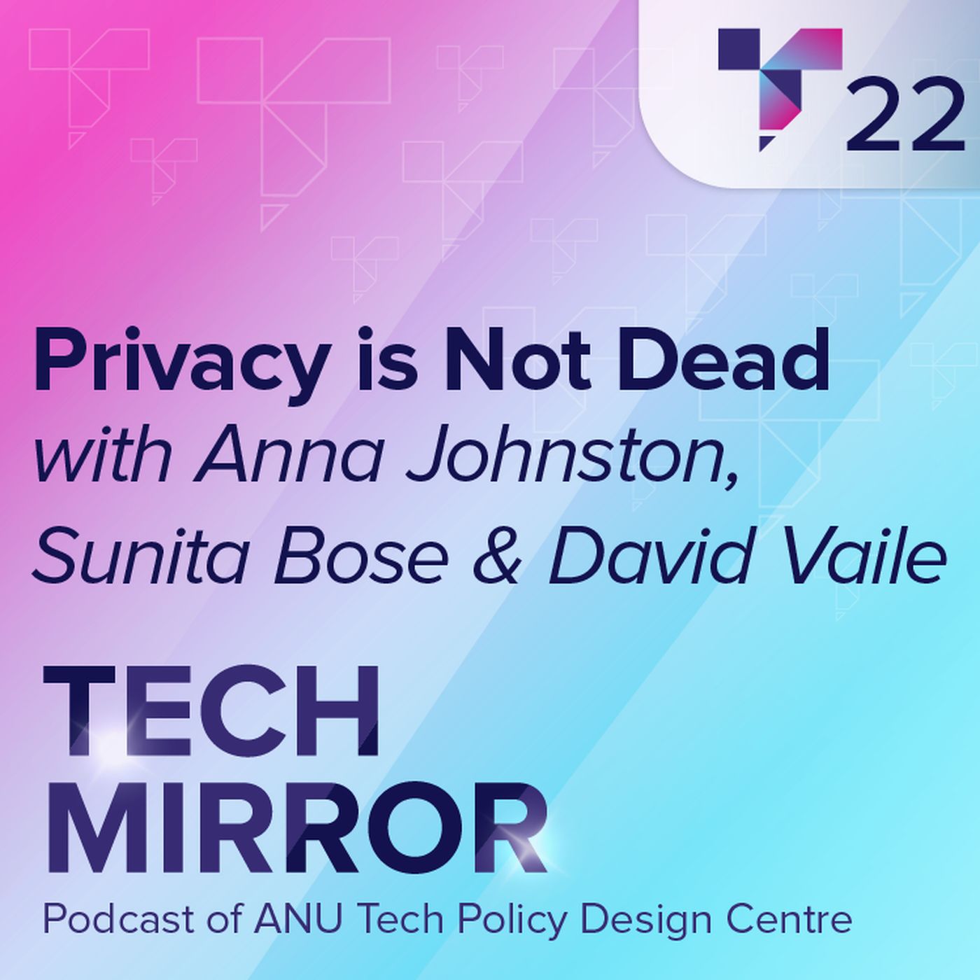 Privacy is Not Dead episode artwork